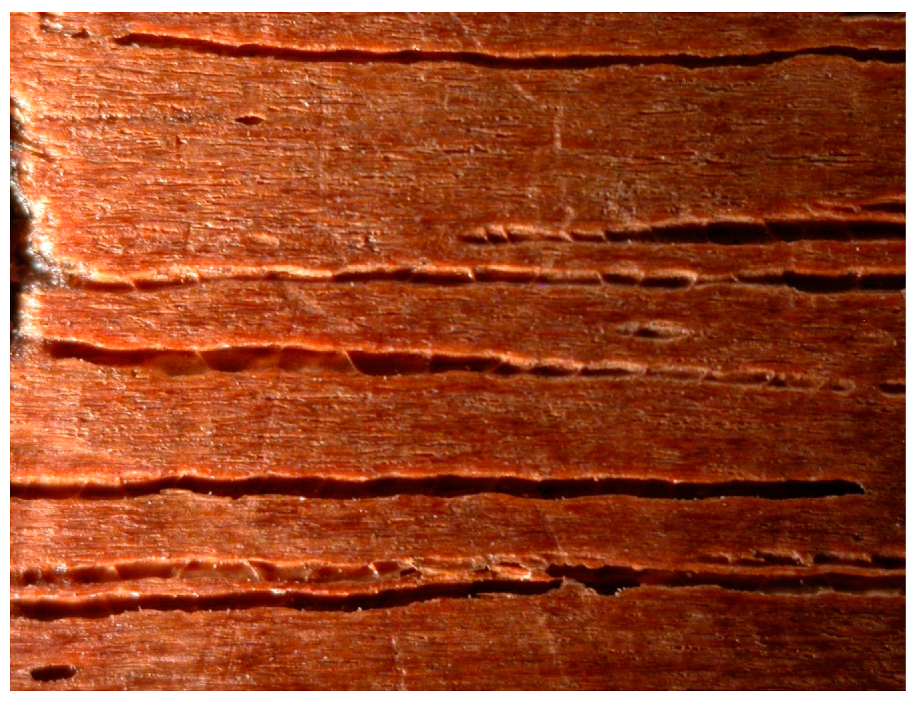 Heritage 02 00031 g014