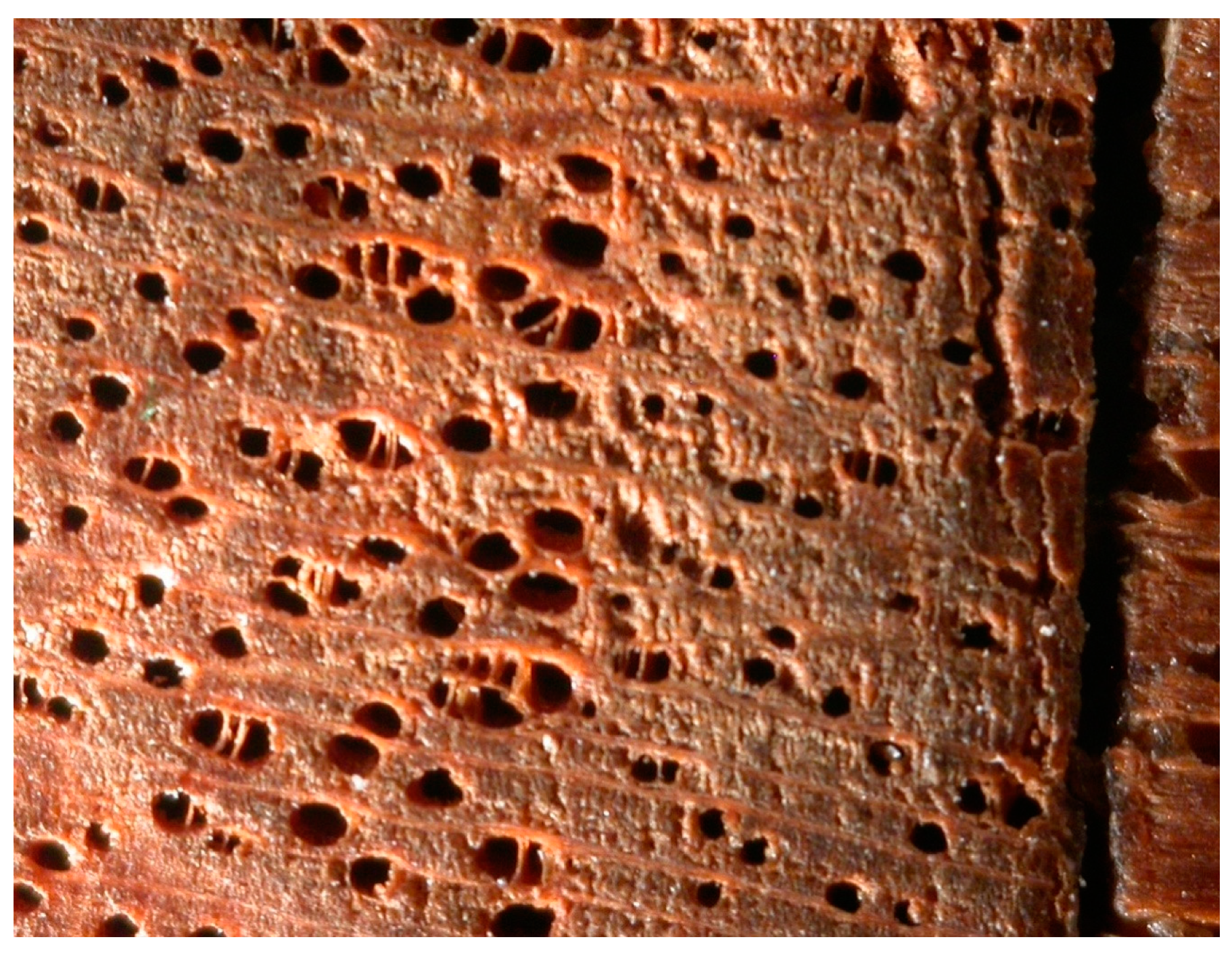 Heritage 02 00031 g015