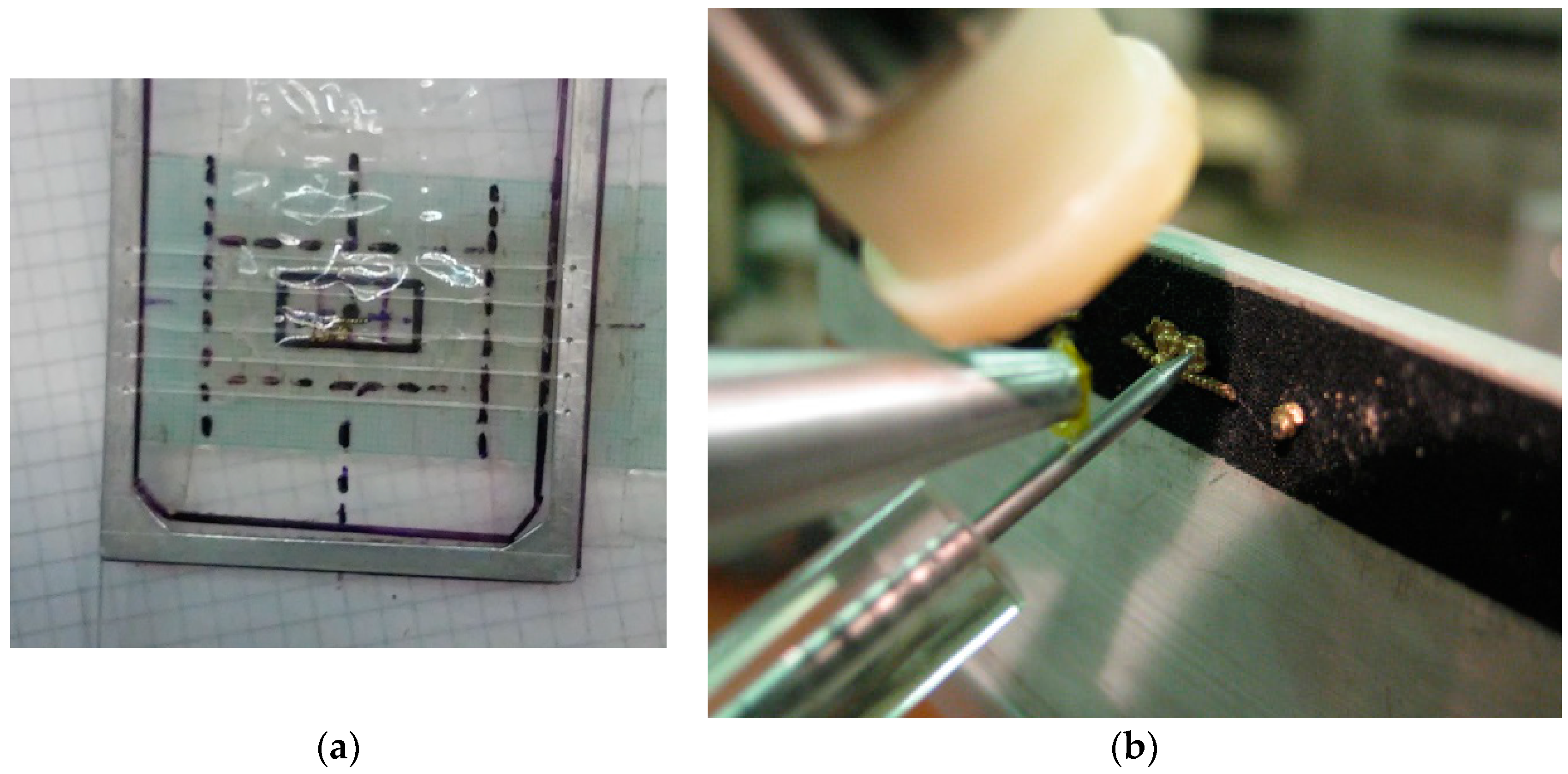 Heritage 02 00055 g002