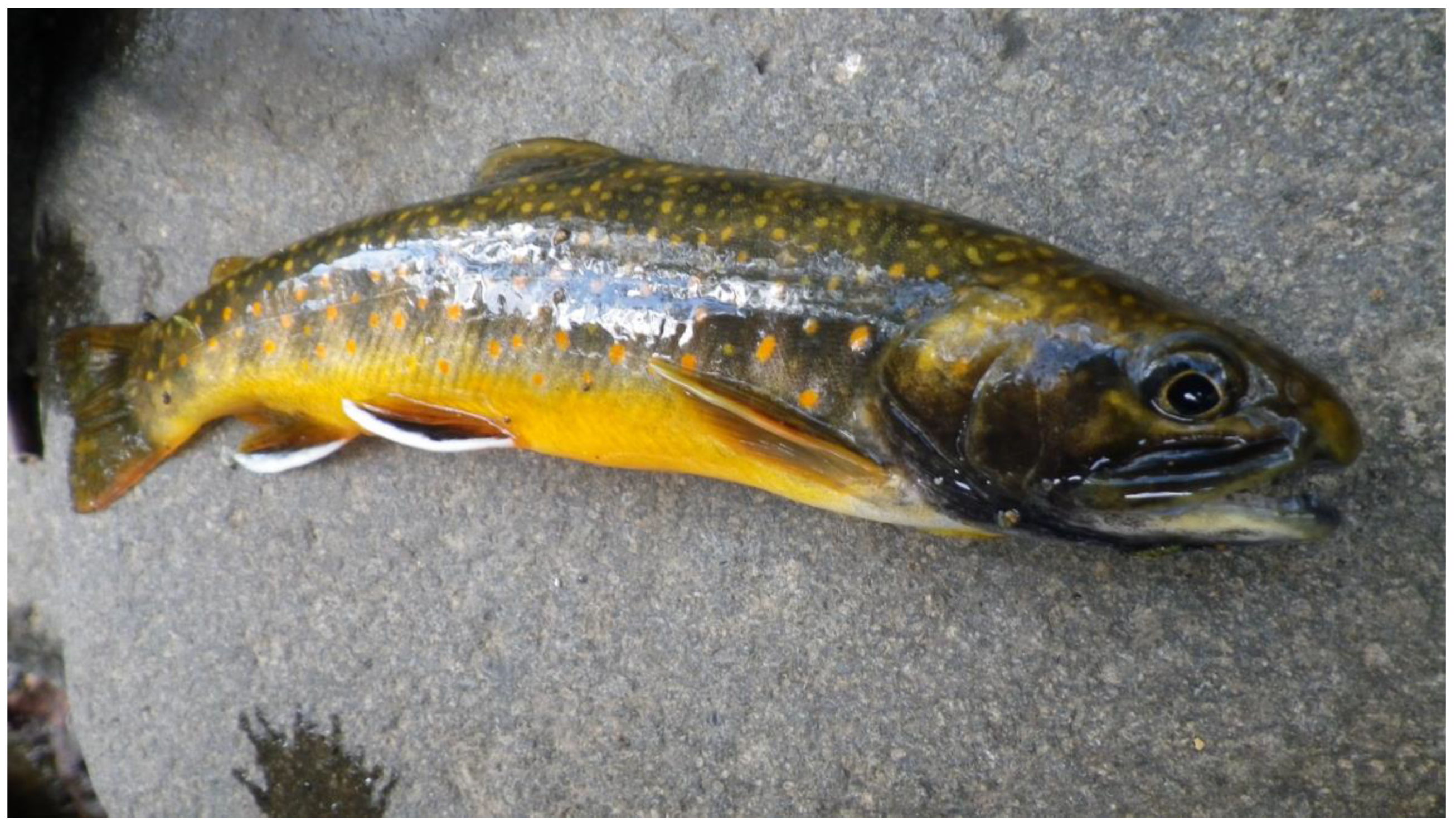 Heritage 02 00060 g004