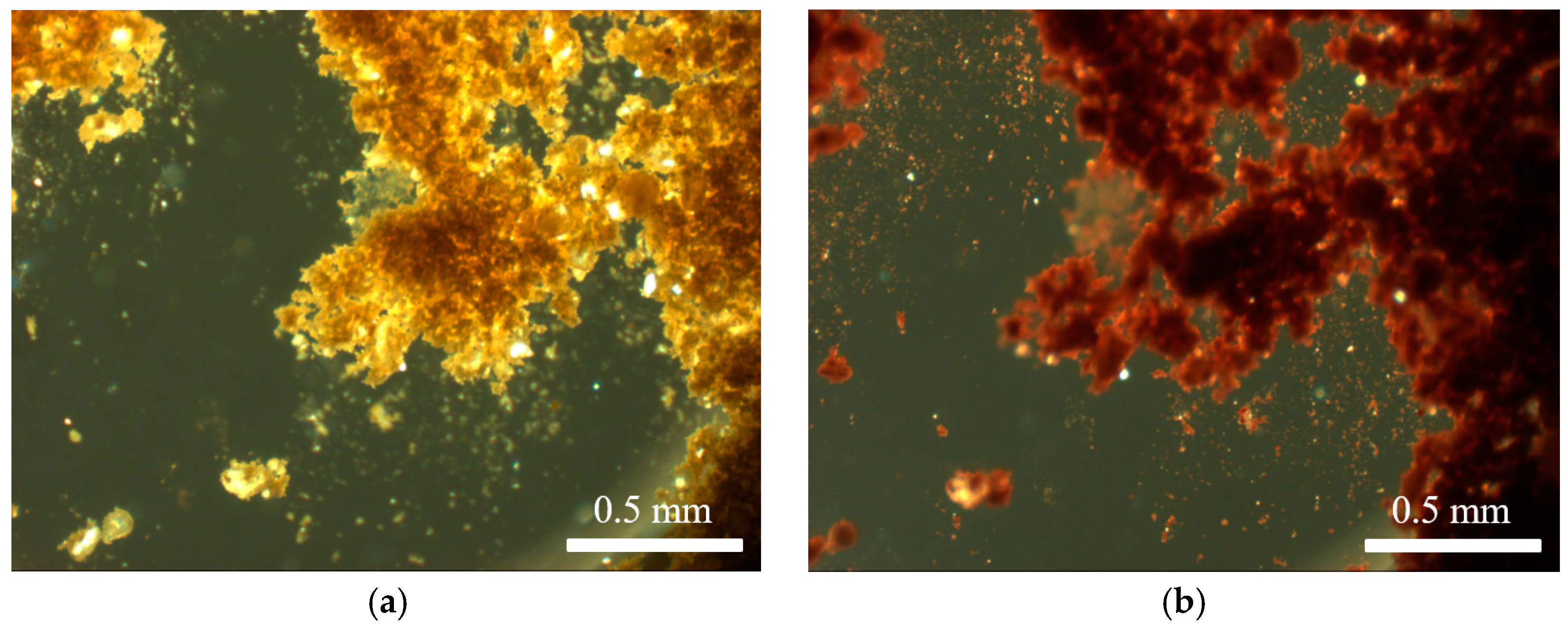 Heritage 02 00063 g004 Heritage 02 00063 g004