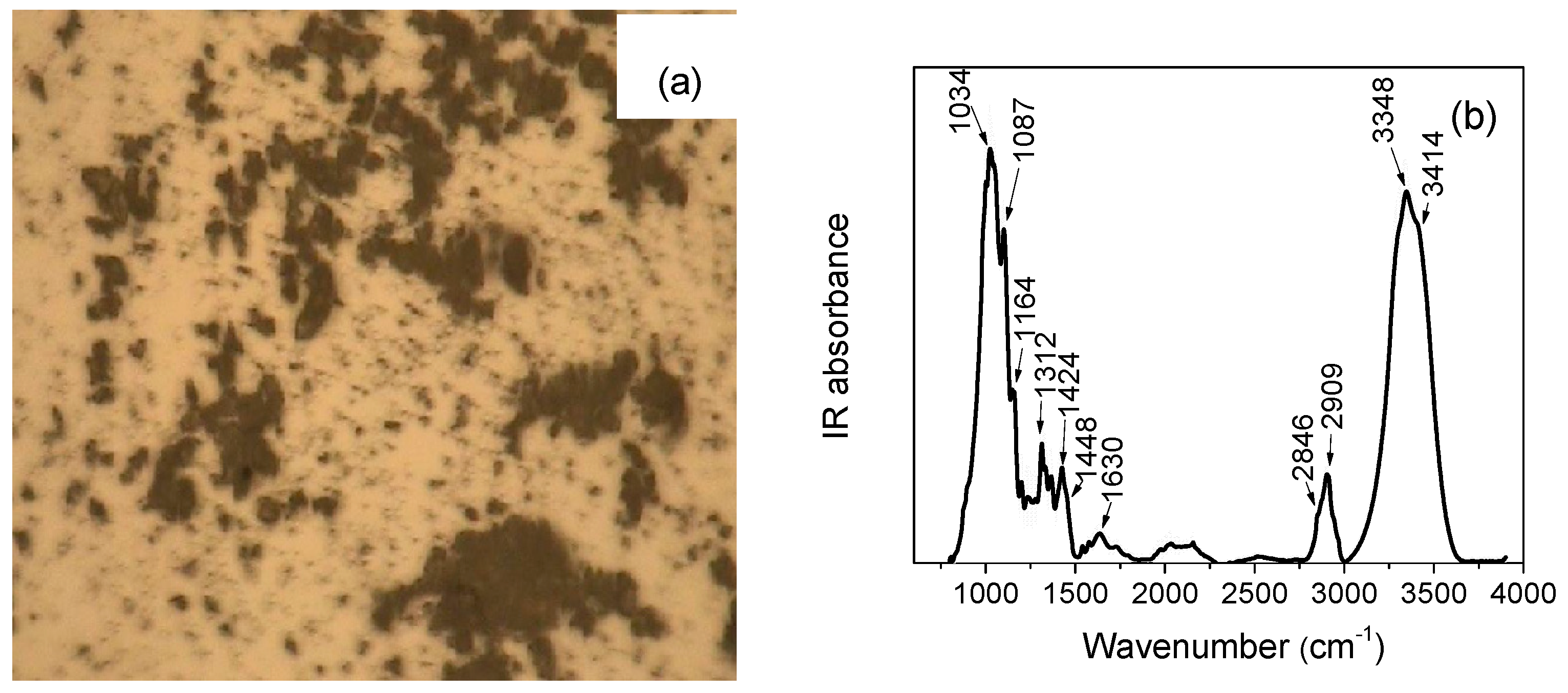 Heritage 02 00113 g012