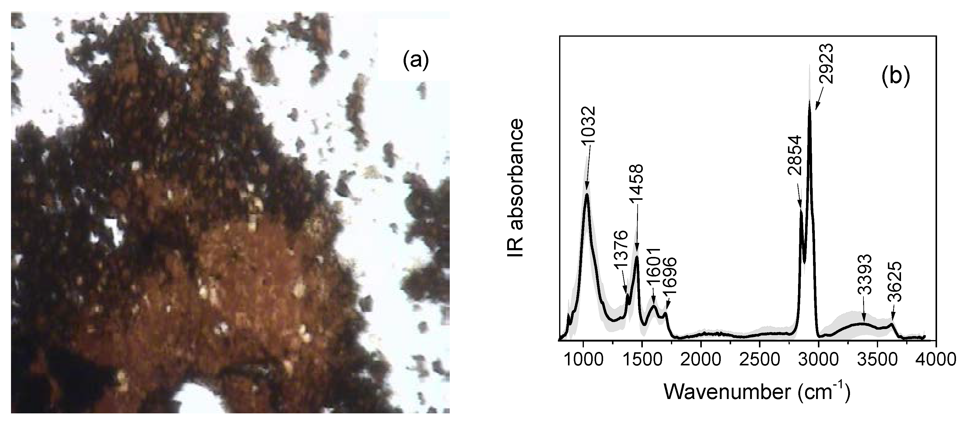 Heritage 02 00113 g014