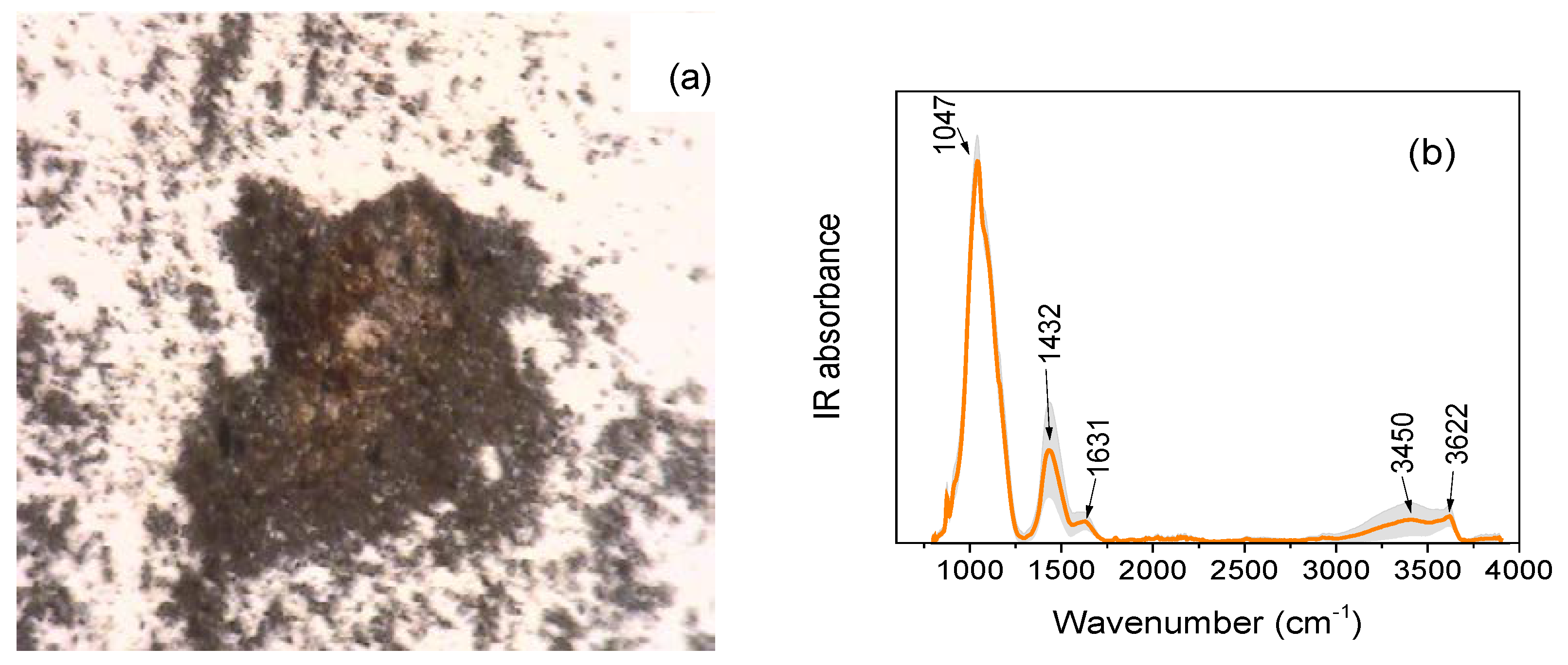 Heritage 02 00113 g015