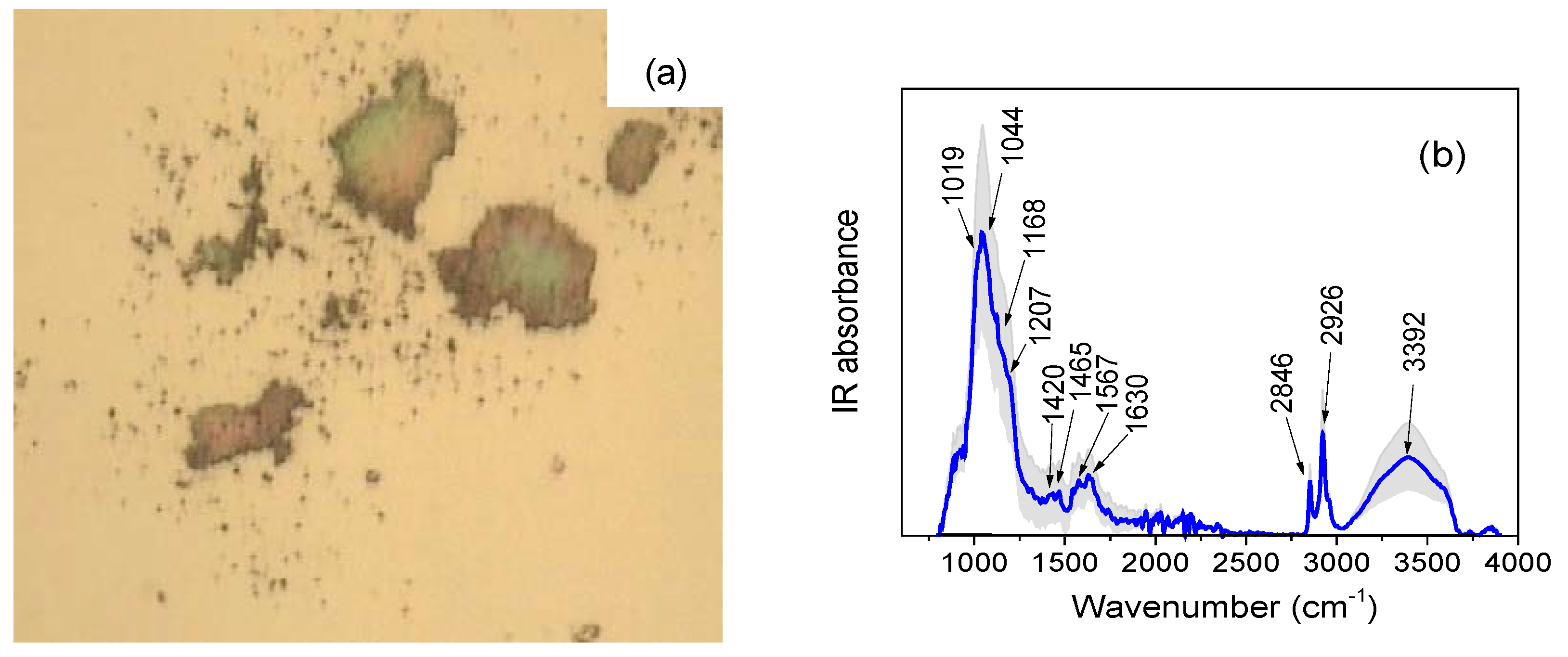 Heritage 02 00113 g016