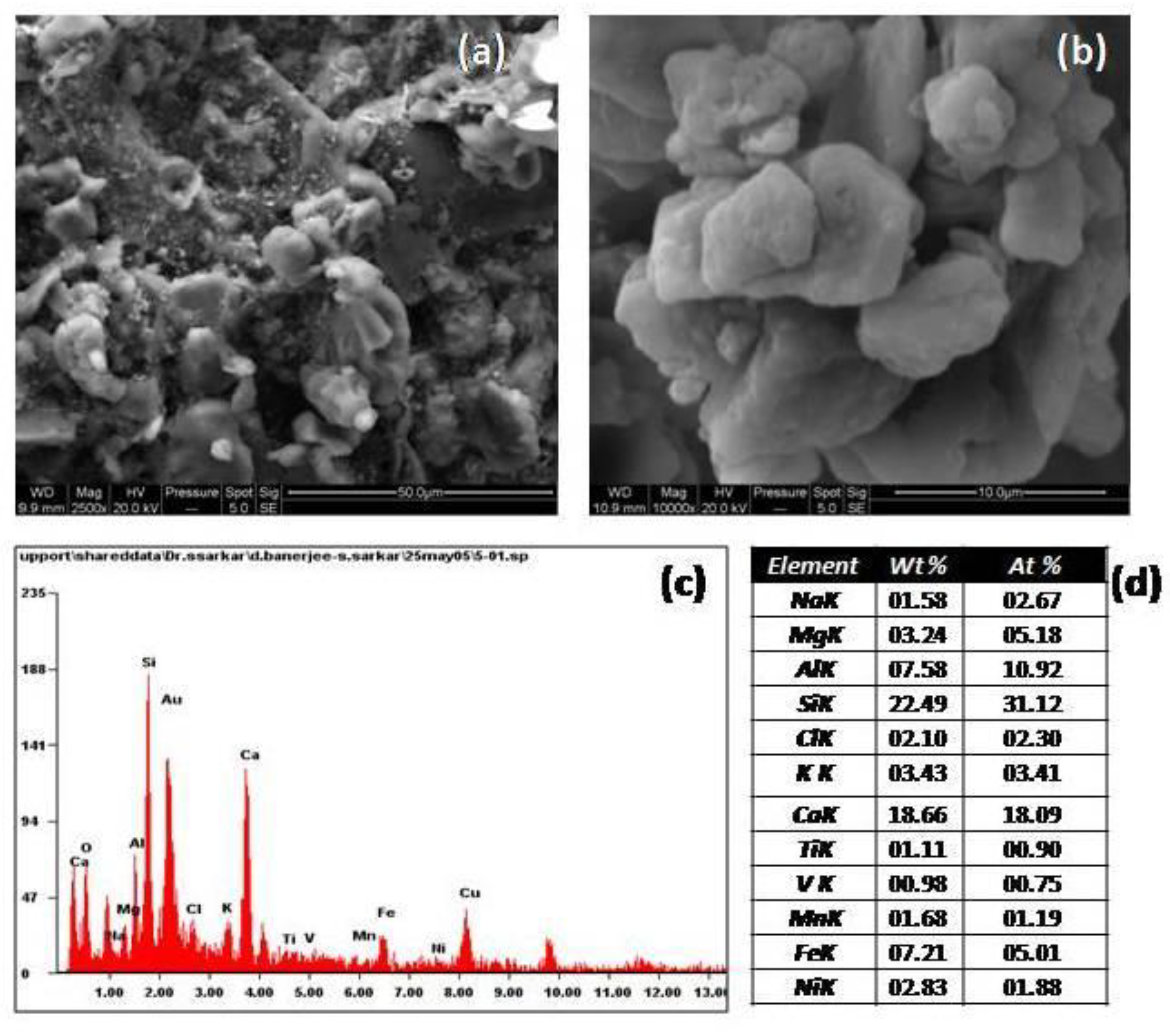 Heritage 02 00129 g014