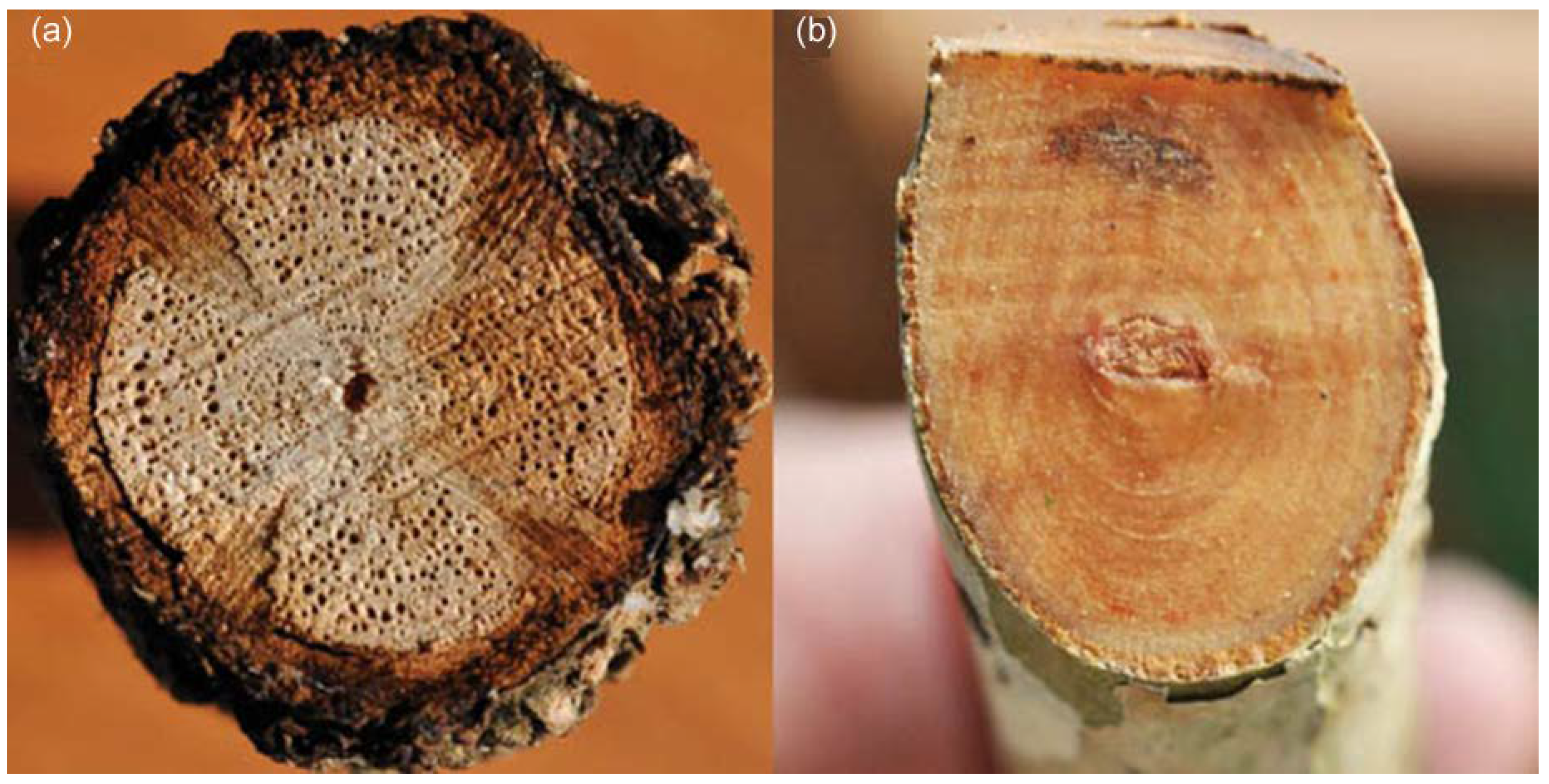 Heritage 03 00016 g002