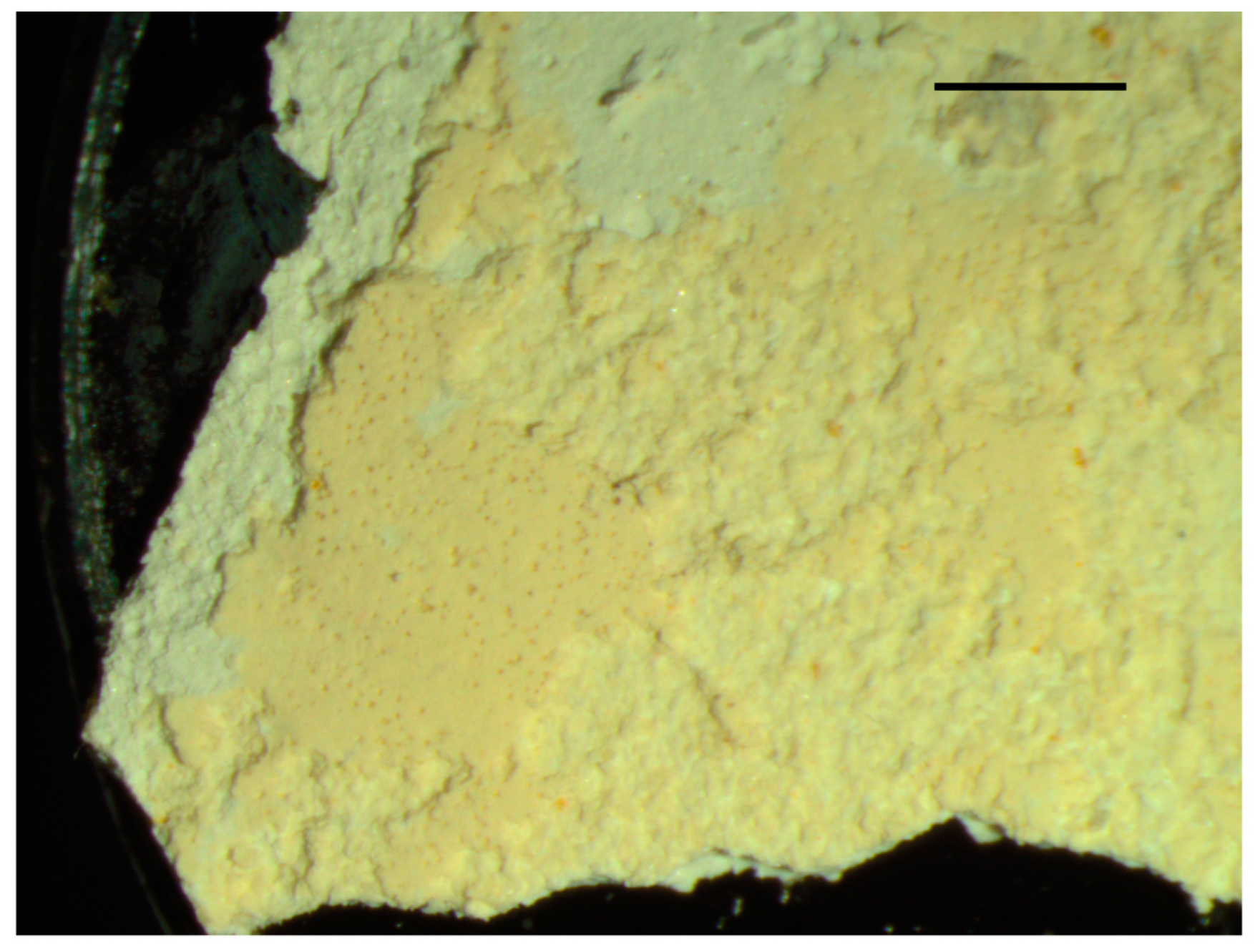 Heritage 03 00020 g003