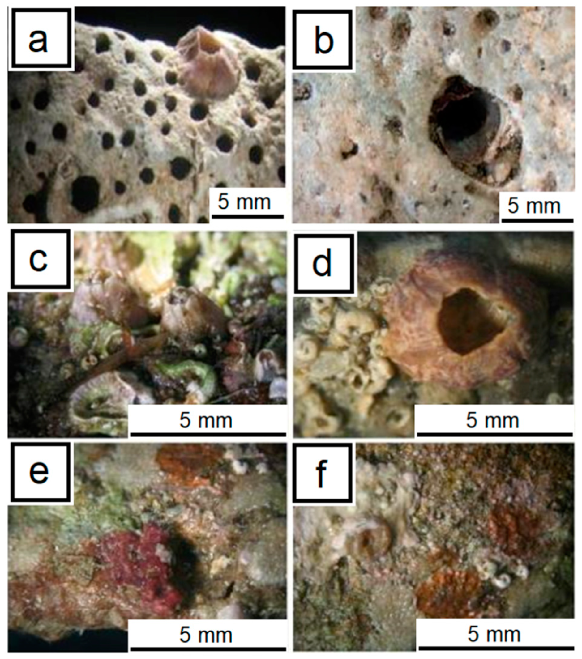 Heritage 03 00024 g001