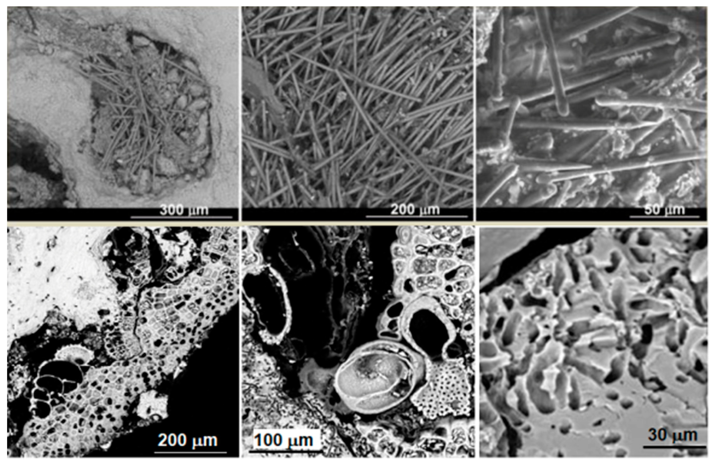 Heritage 03 00024 g002