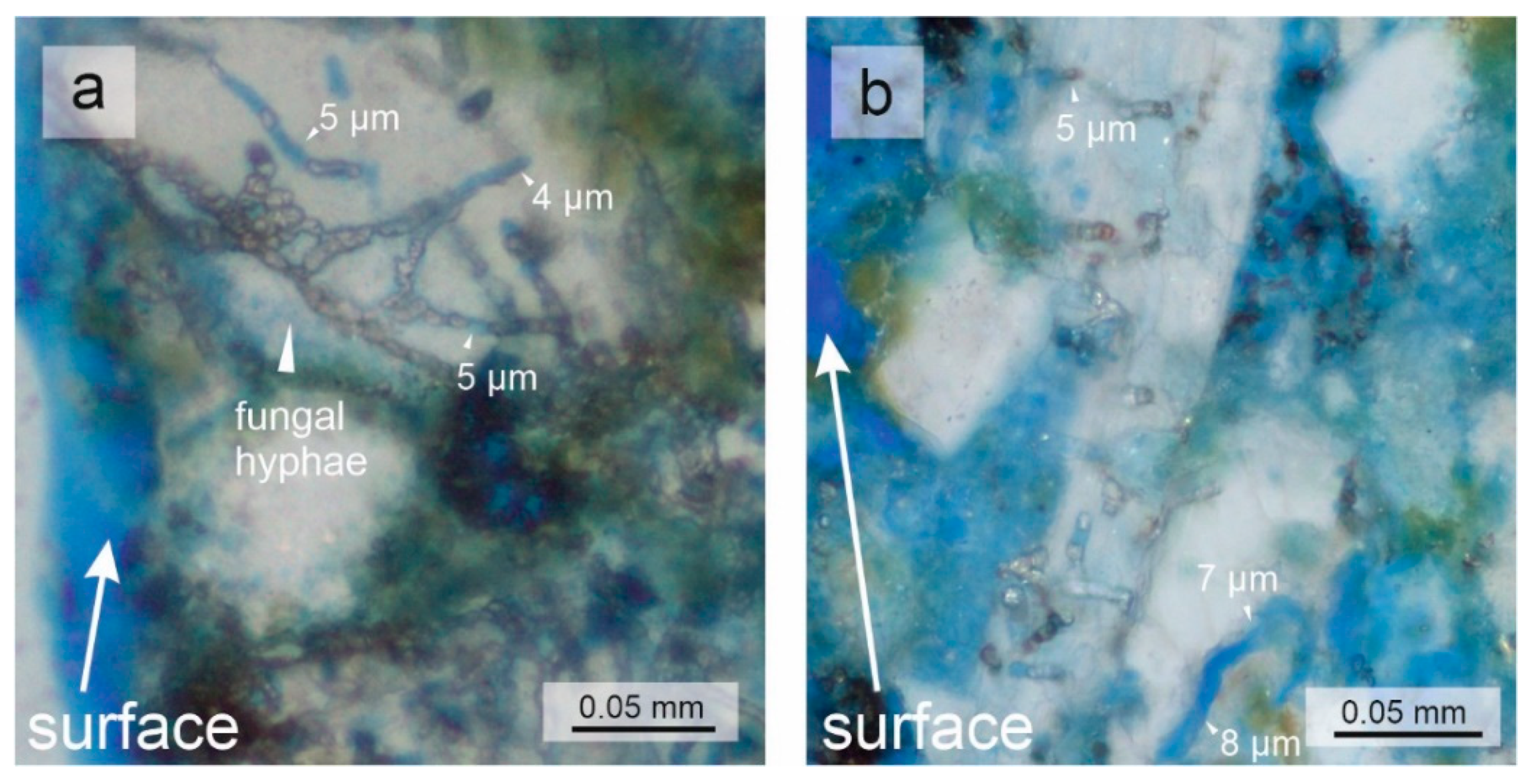 Heritage 03 00027 g006