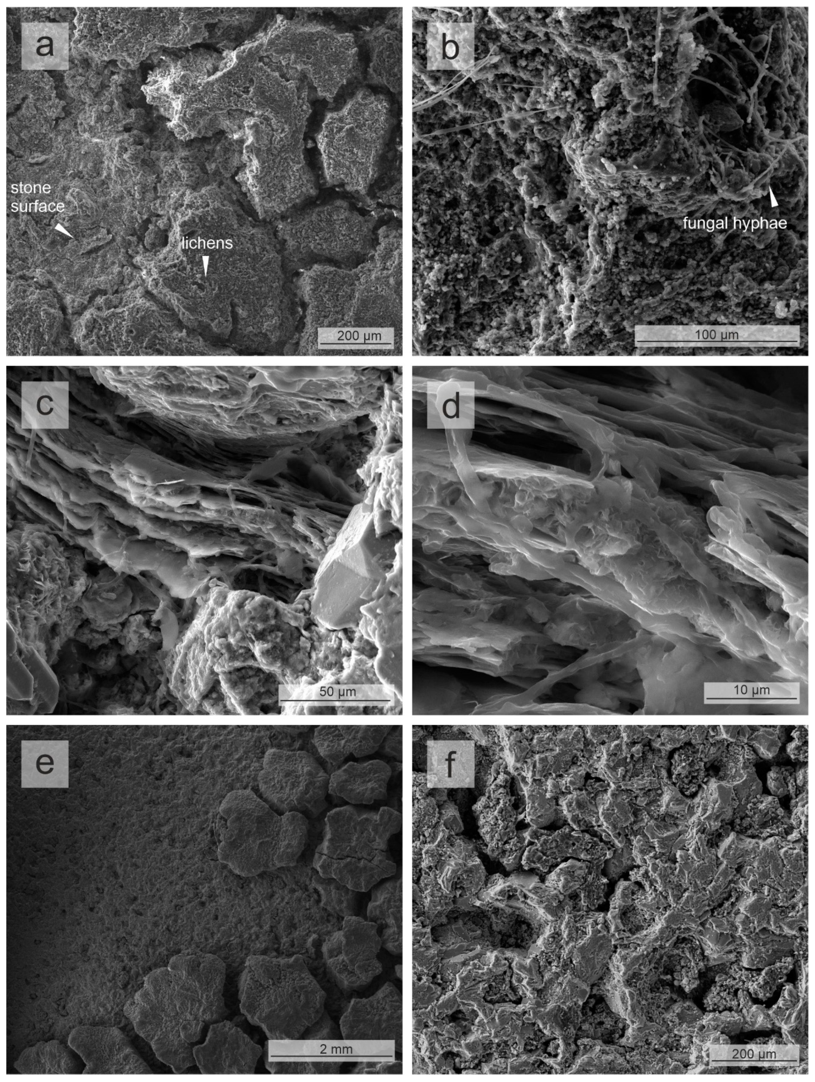 Heritage 03 00027 g013