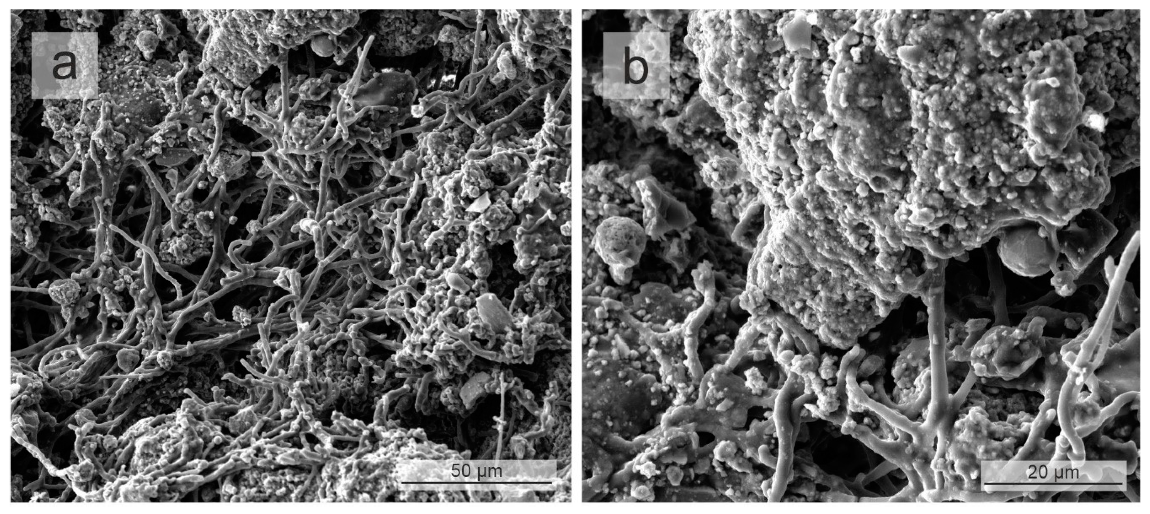 Heritage 03 00027 g014