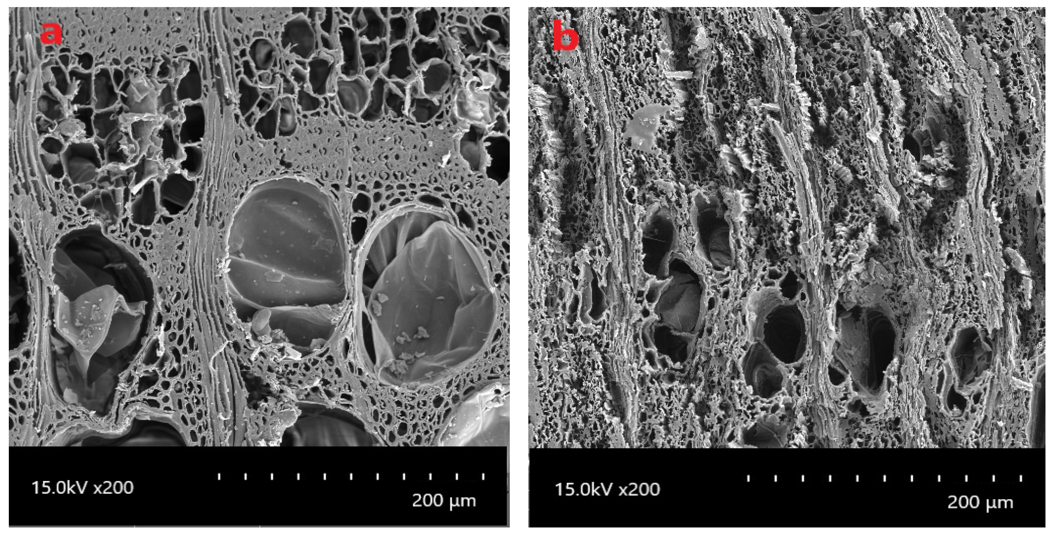 Heritage 03 00060 g001