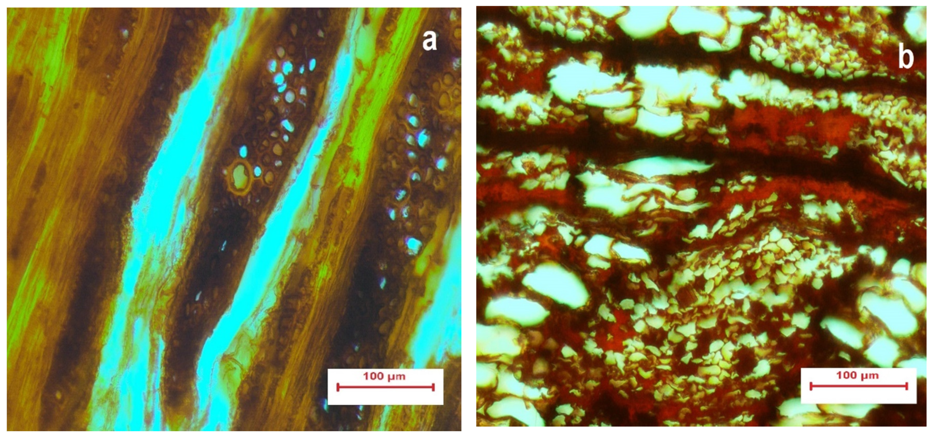 Heritage 03 00060 g002