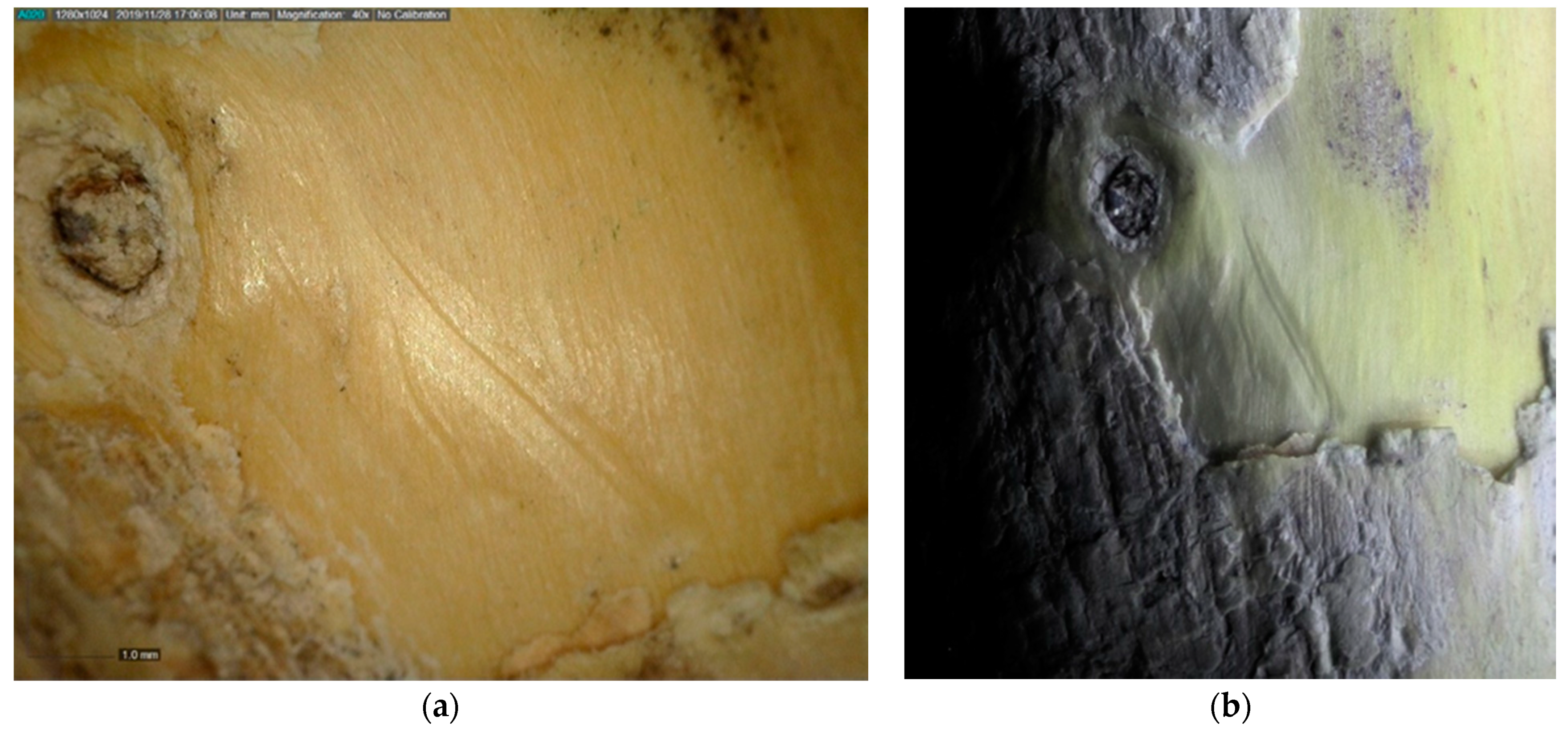 Heritage 03 00070 g005