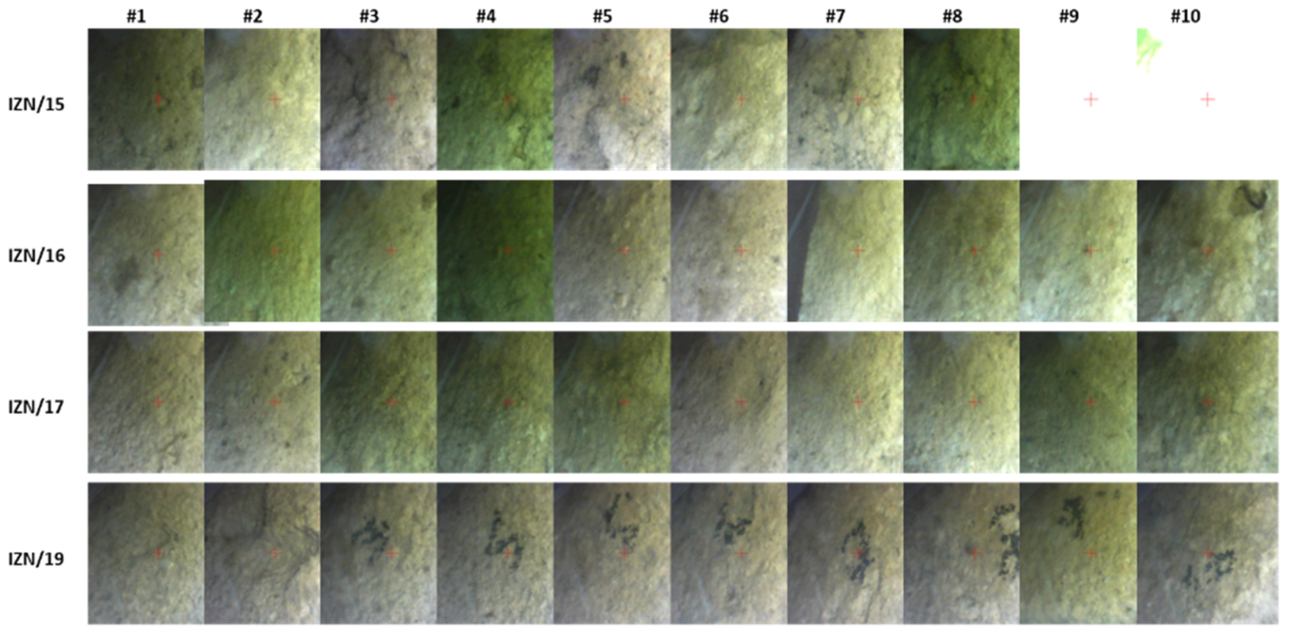 Heritage 03 00072 g0a1