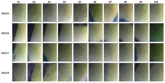 Heritage 03 00072 g0a2