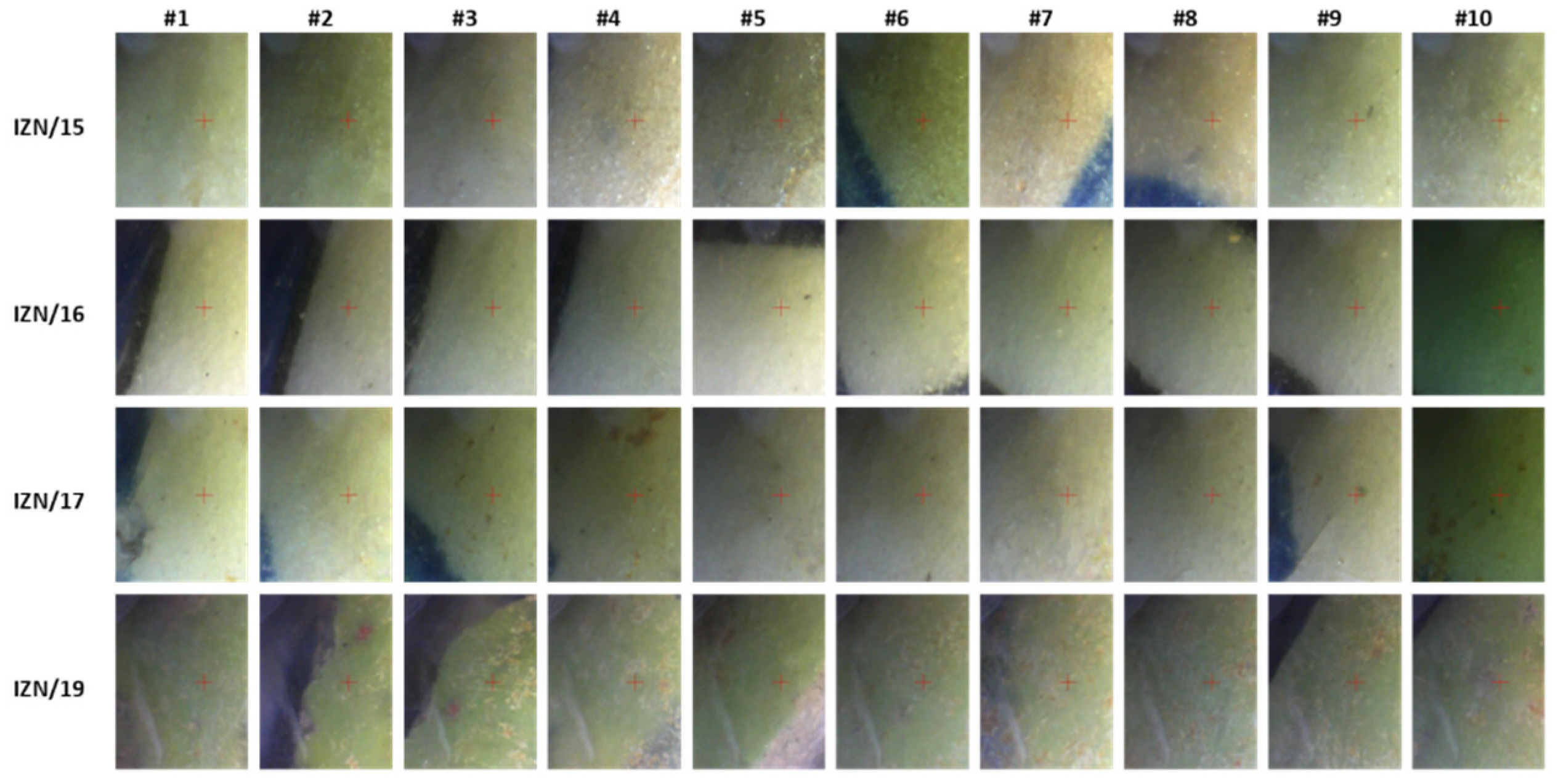 Heritage 03 00072 g0a2