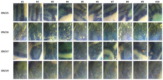 Heritage 03 00072 g0a3