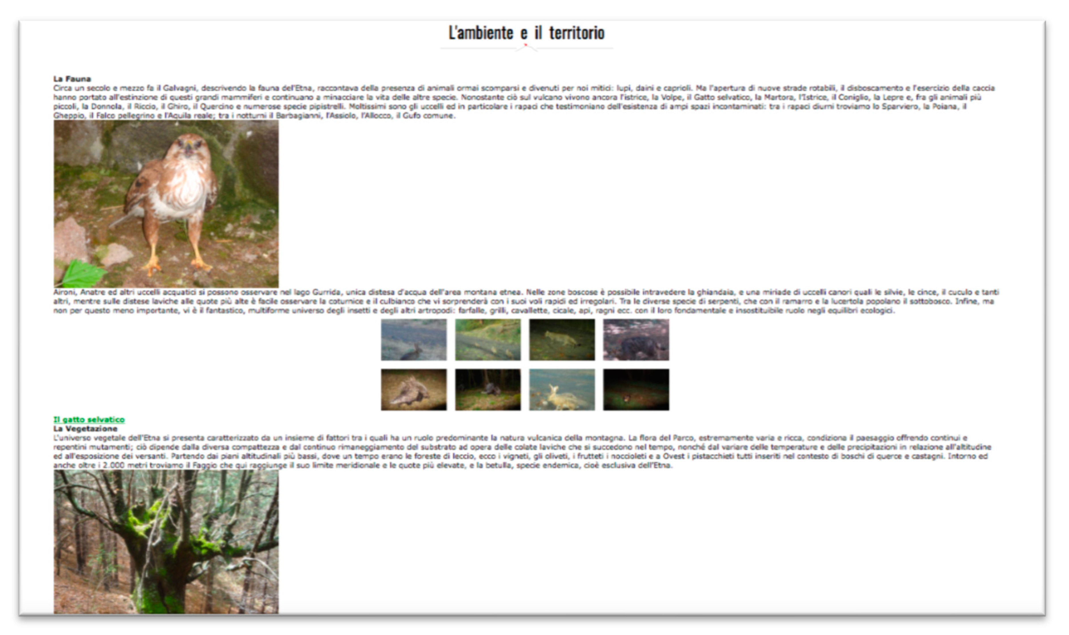 Heritage 03 00085 g003