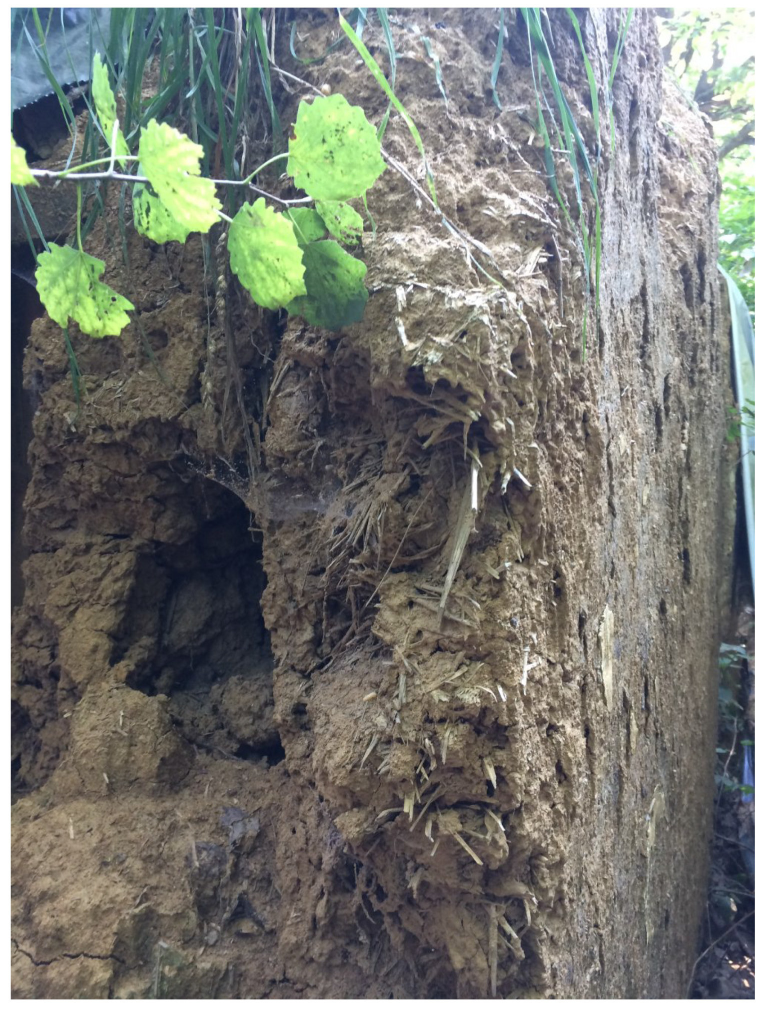 Heritage 04 00007 g010