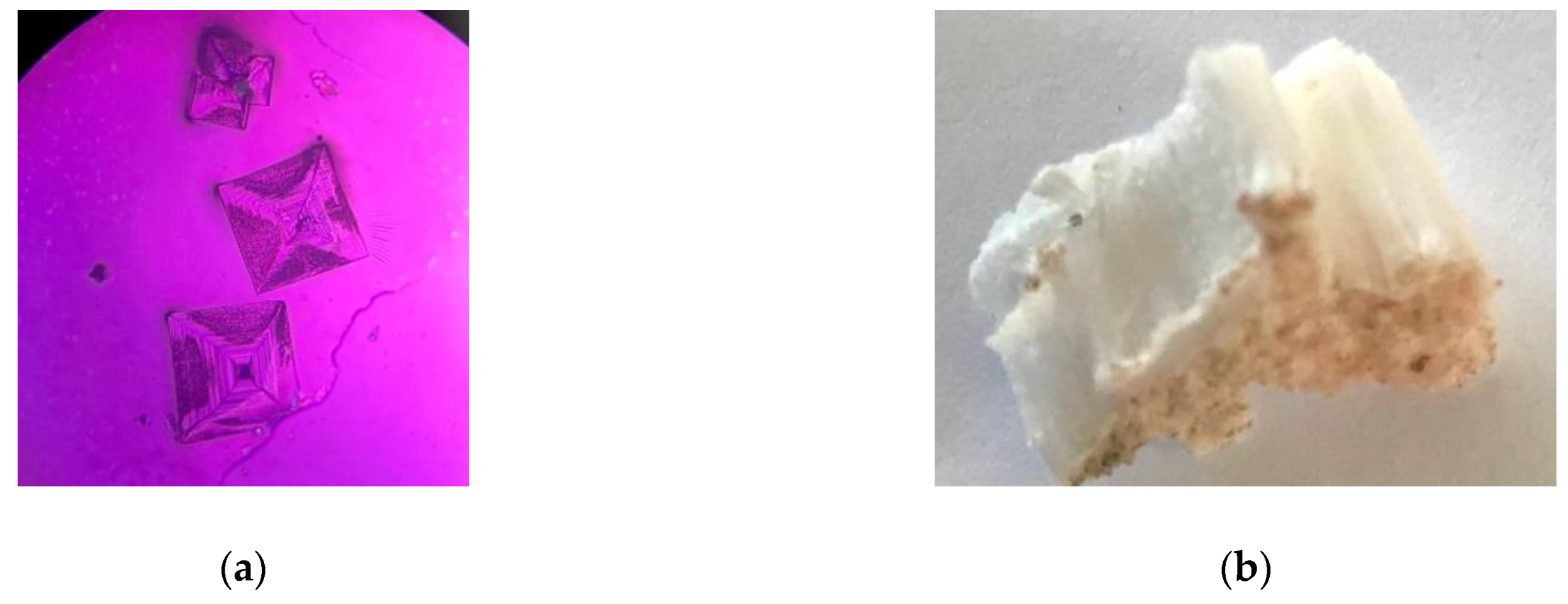 Heritage 04 00022 g008