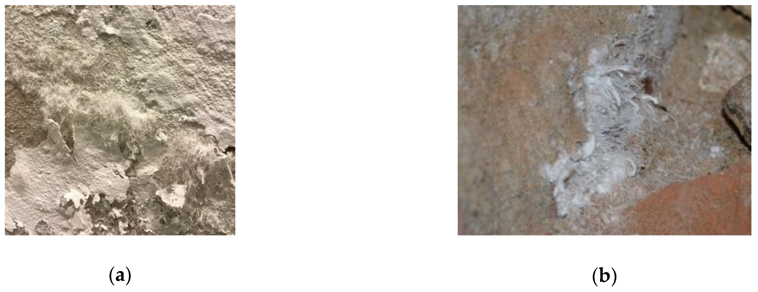 Heritage 04 00022 g009