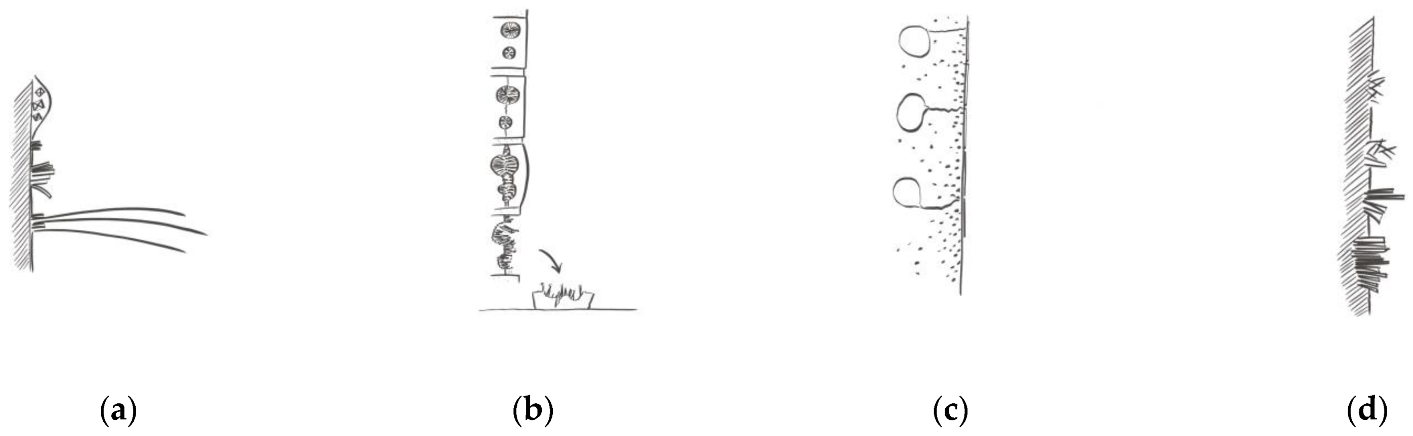 Heritage 04 00022 g018