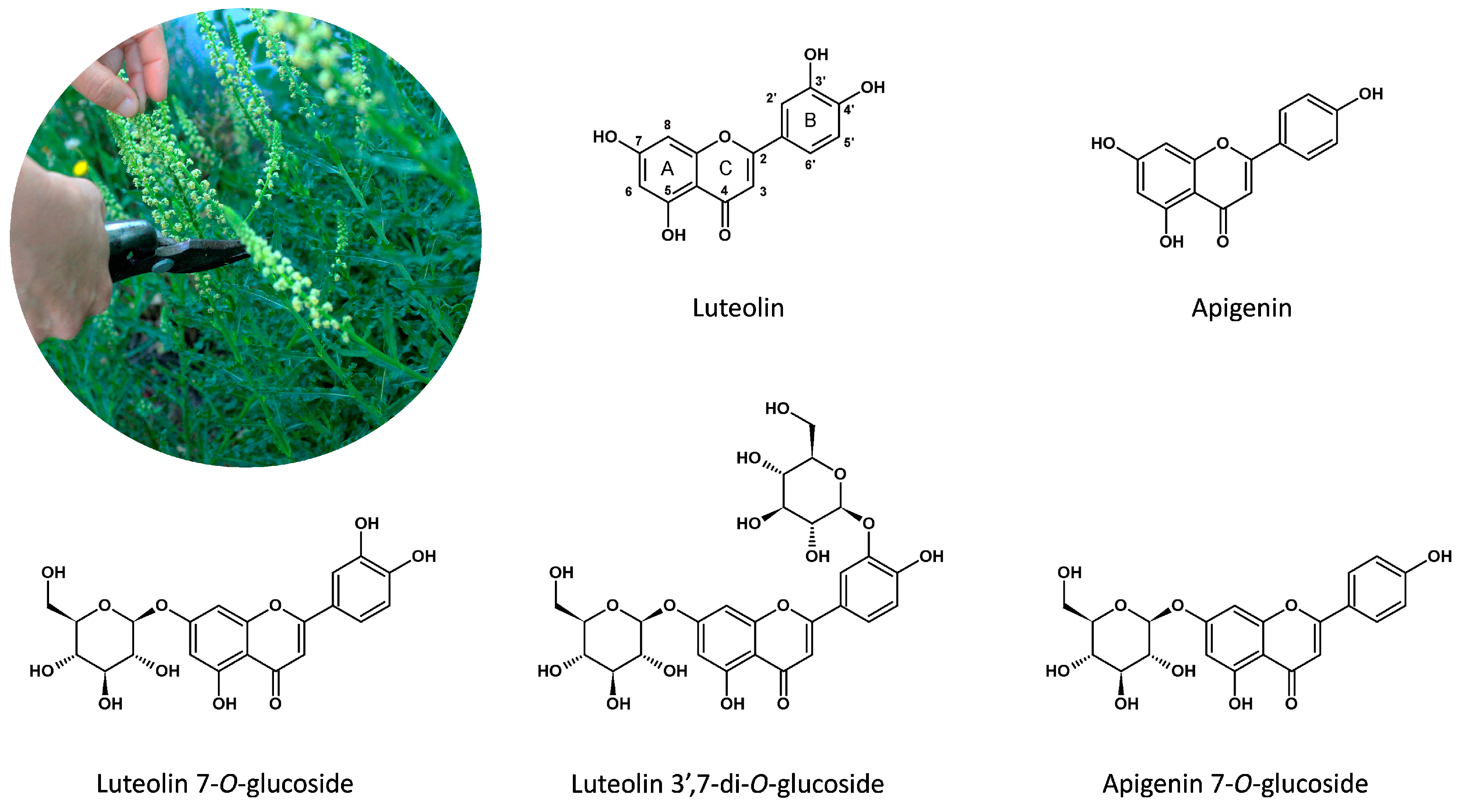 Heritage 04 00026 g001