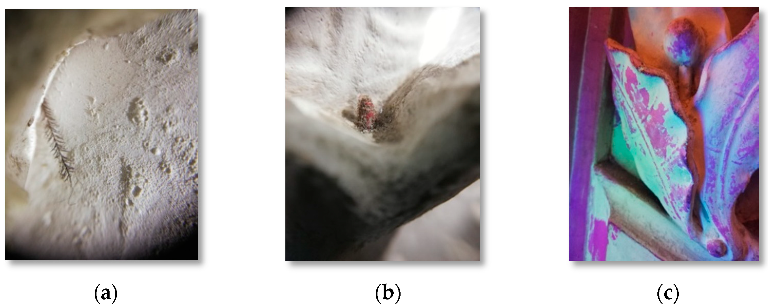 Heritage 04 00028 g011