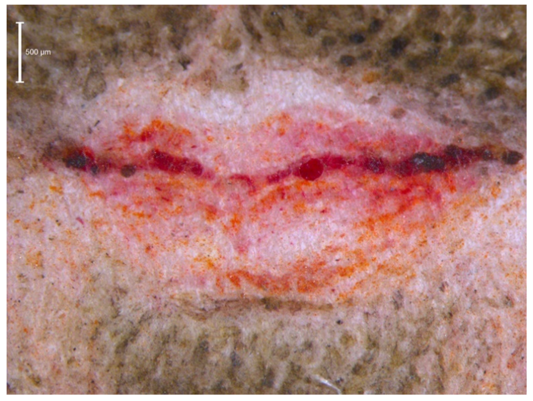 Heritage 04 00064 g004