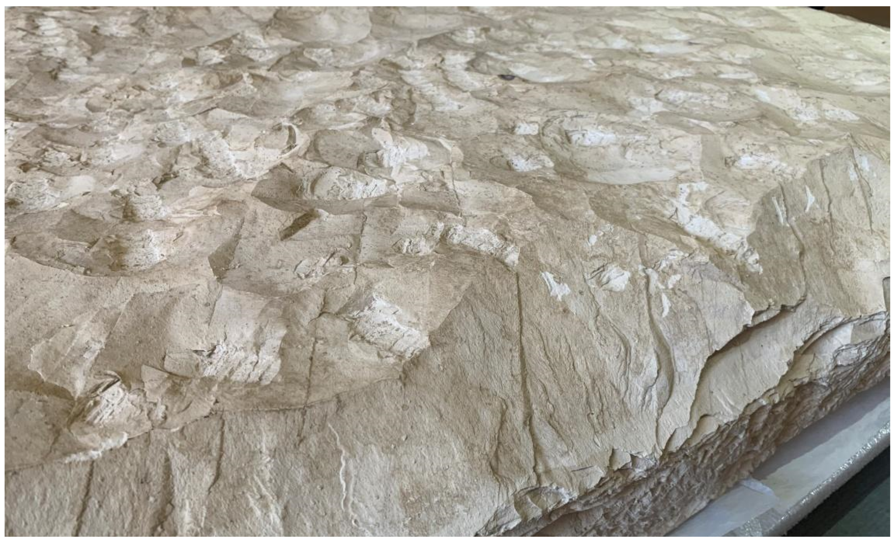 Heritage 04 00066 g004