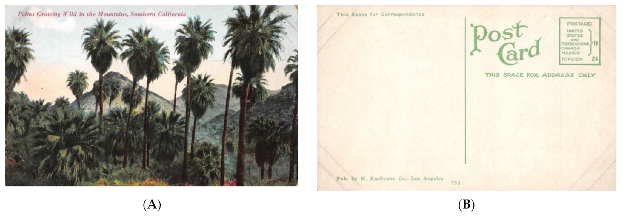 Heritage 04 00081 g004