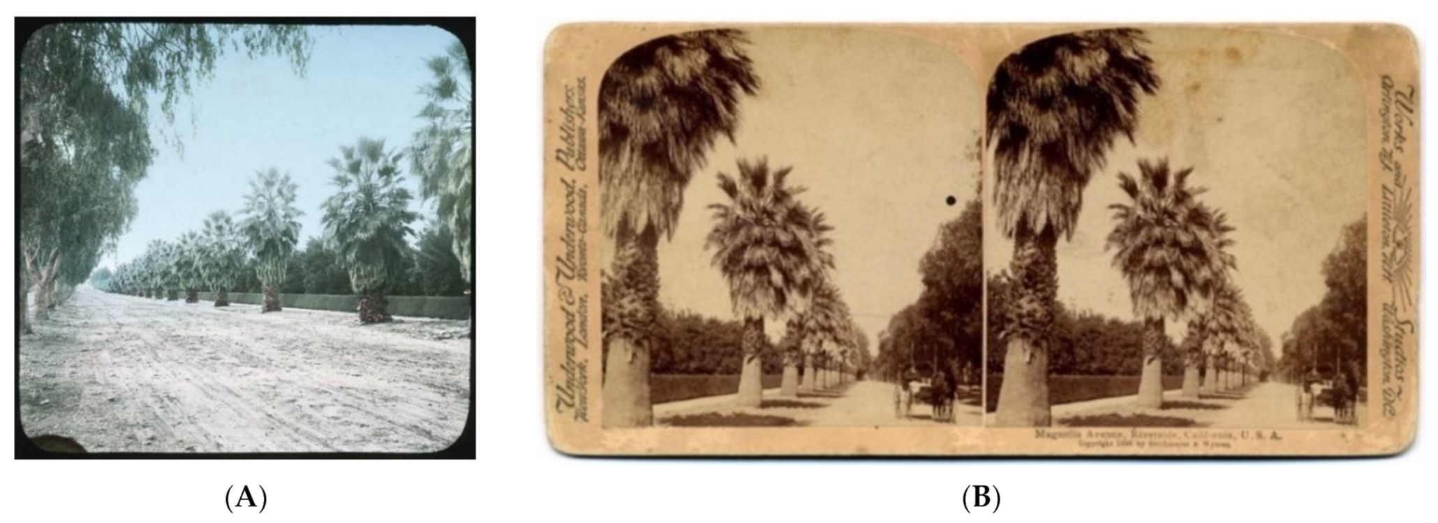 Heritage 04 00081 g008