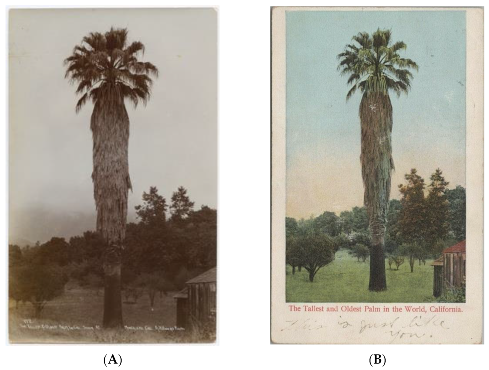 Heritage 04 00081 g009