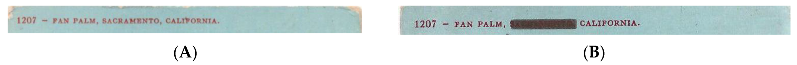 Heritage 04 00081 g023