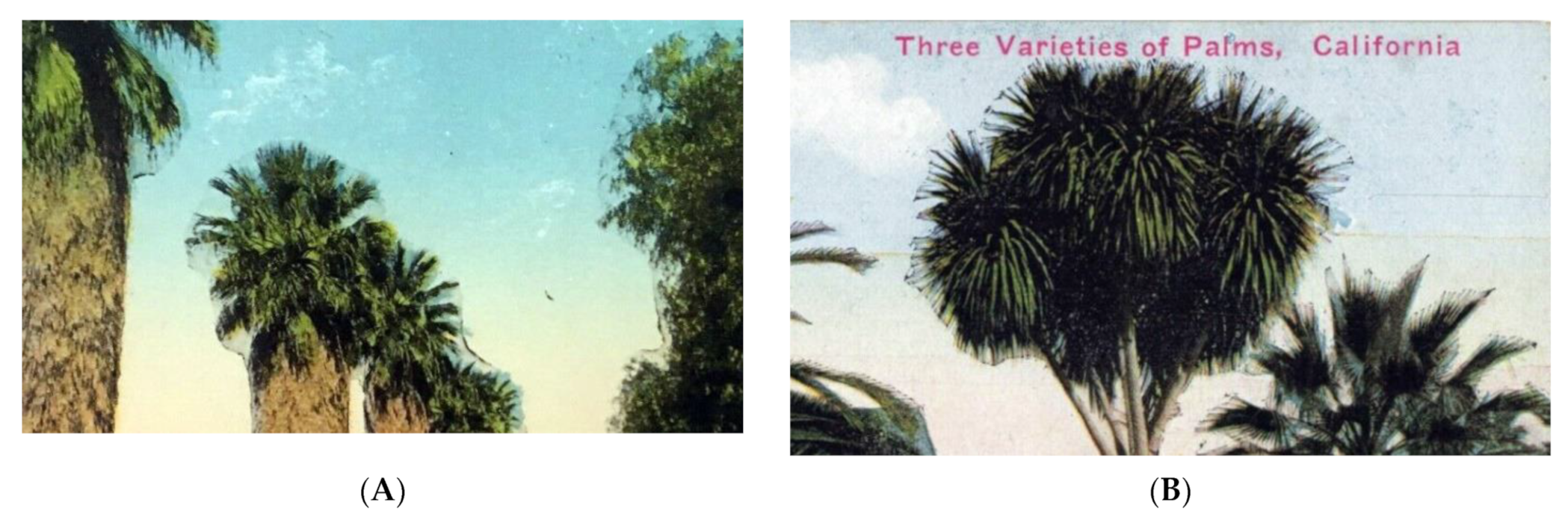 Heritage 04 00081 g027