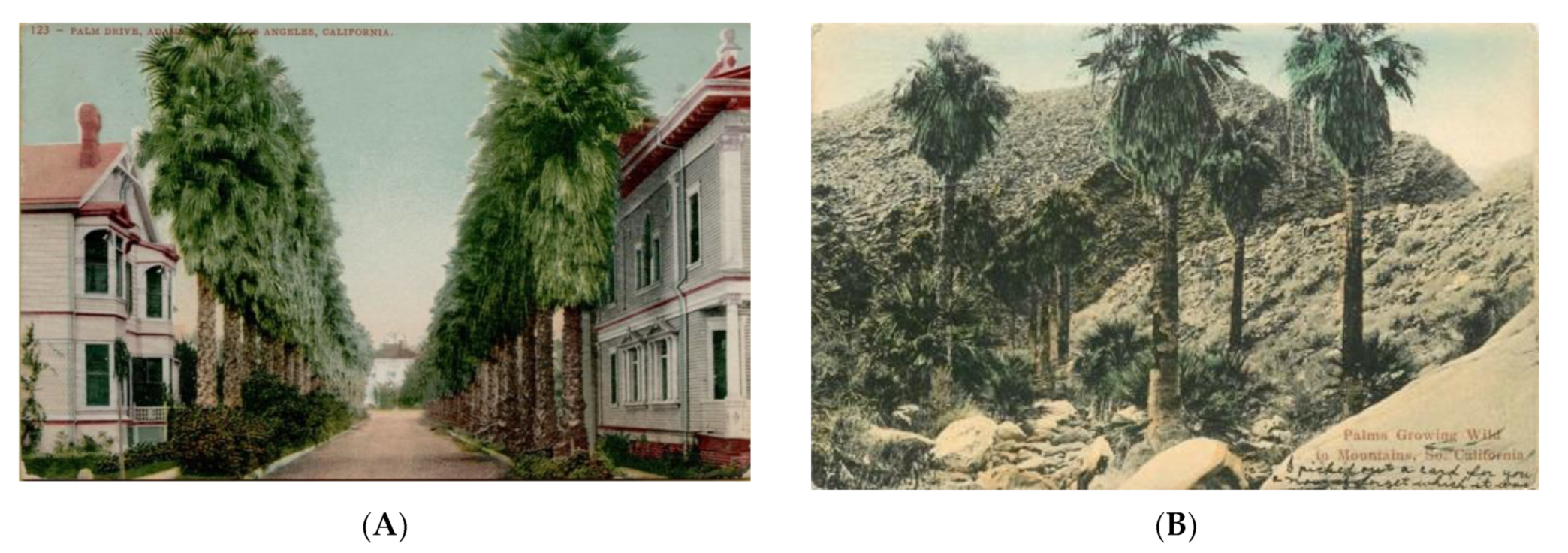 Heritage 04 00081 g028