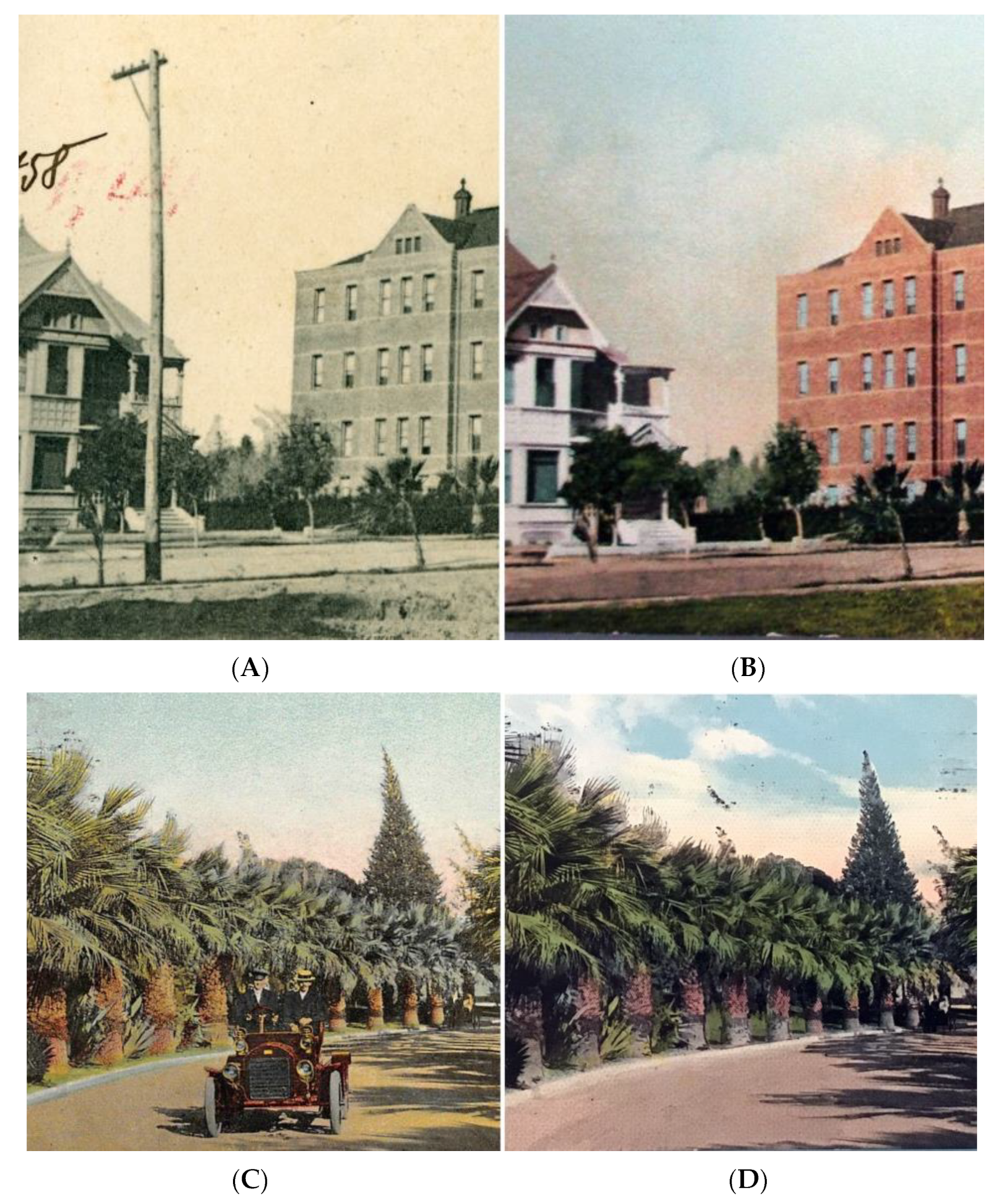 Heritage 04 00081 g032