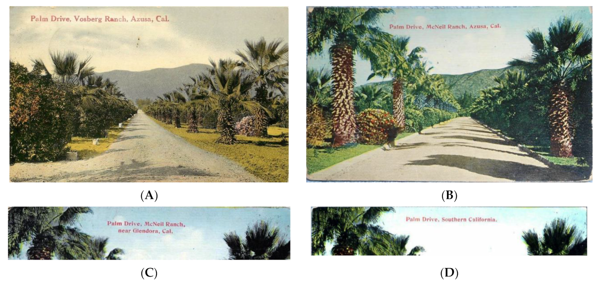 Heritage 04 00081 g040