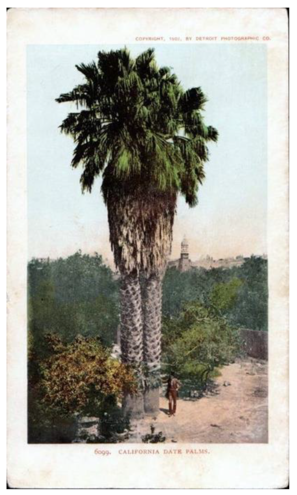 Heritage 04 00081 g047