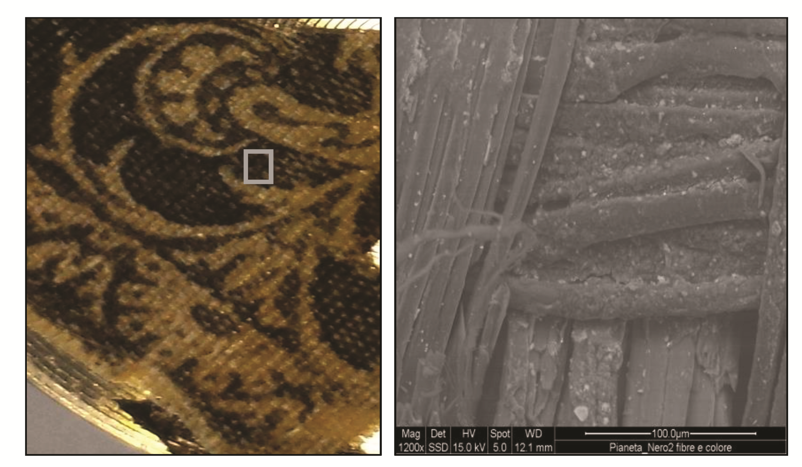 Heritage 04 00090 g009