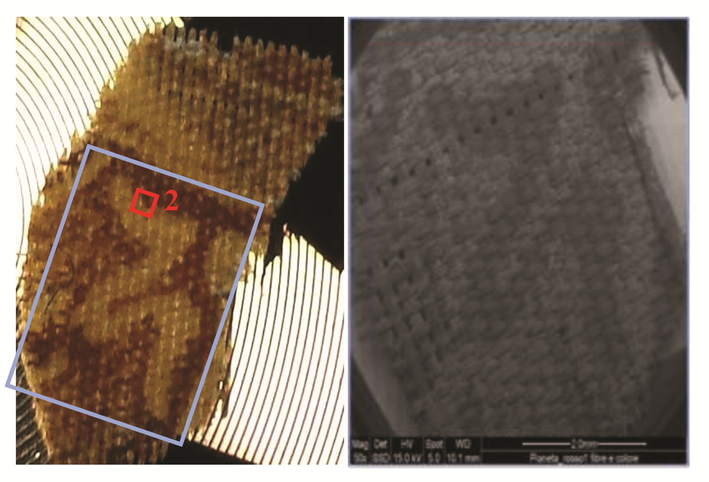 Heritage 04 00090 g011