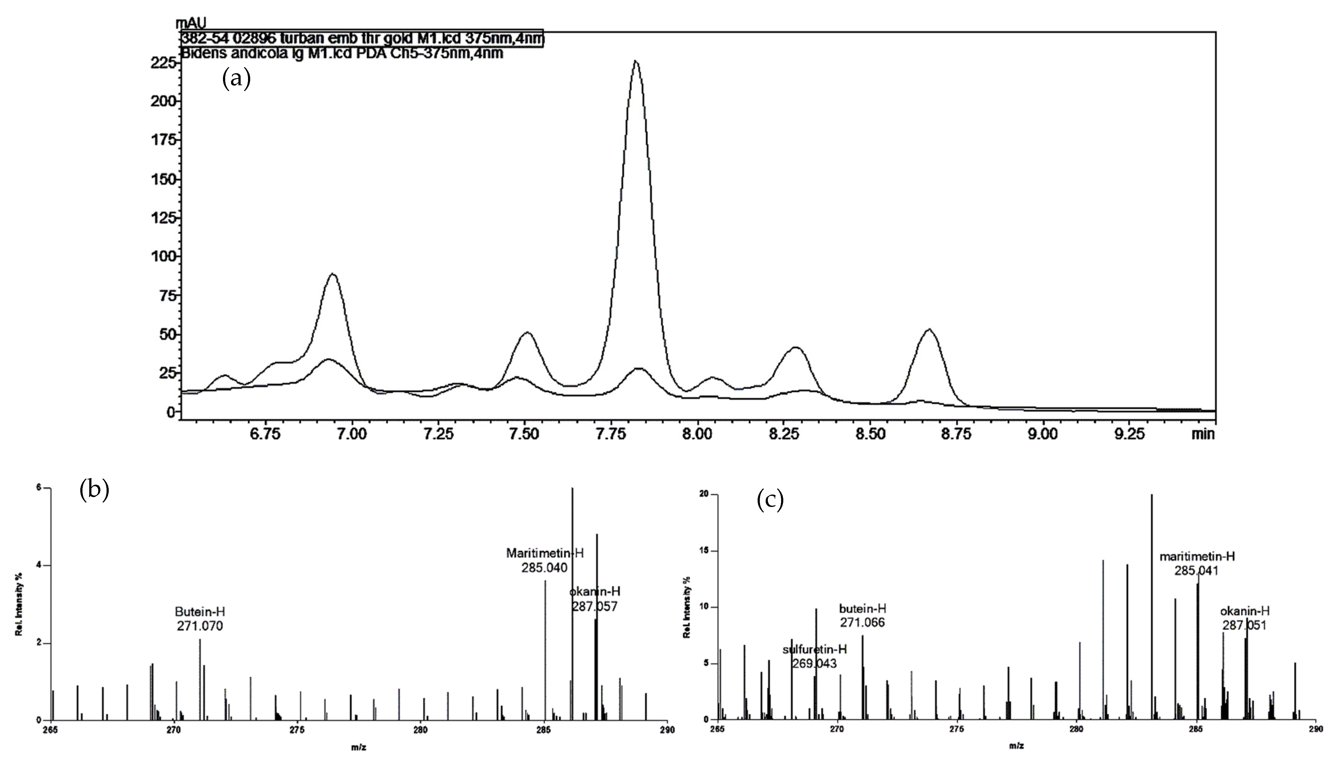 Heritage 04 00091 g001