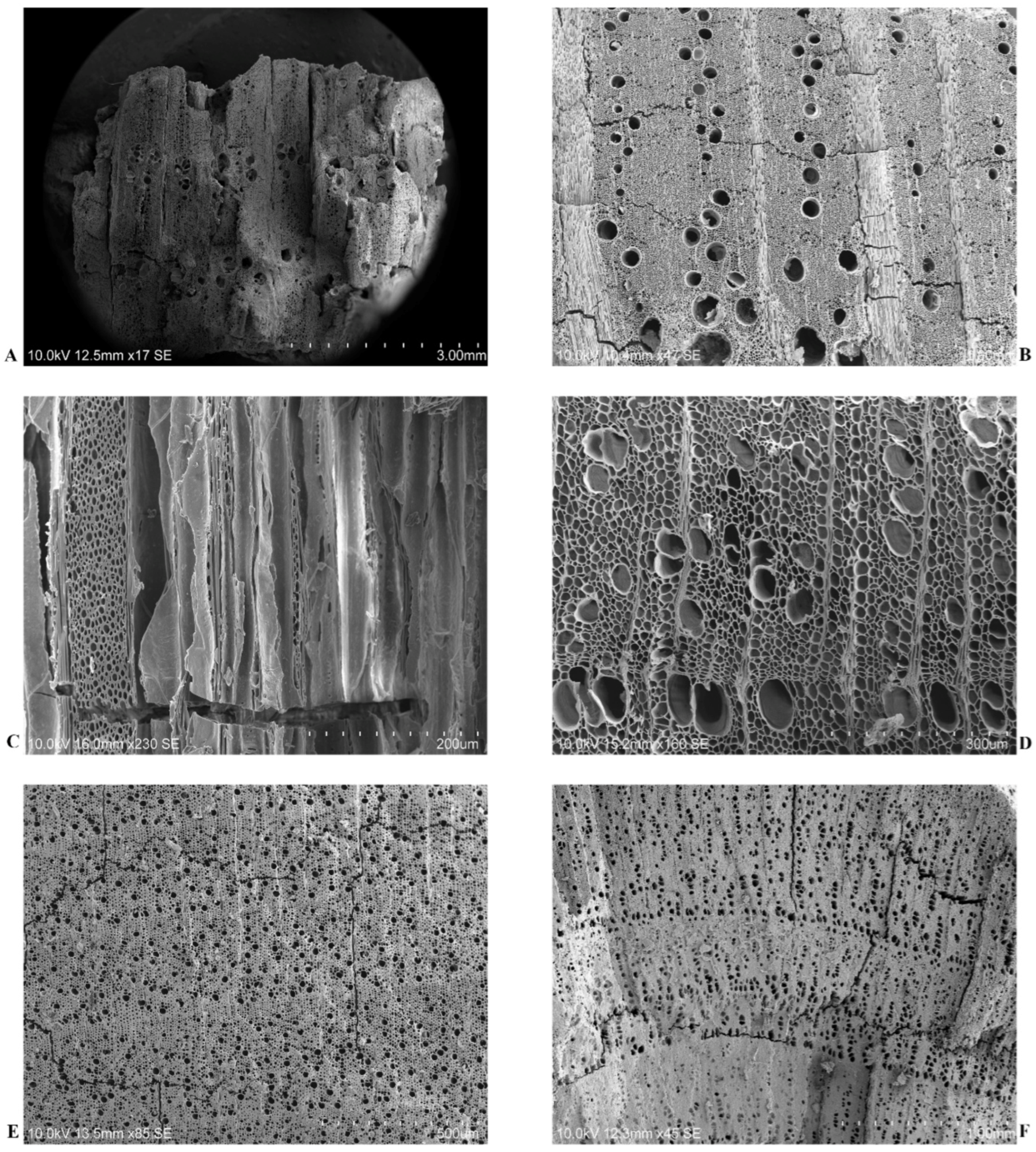 Heritage 04 00110 g005