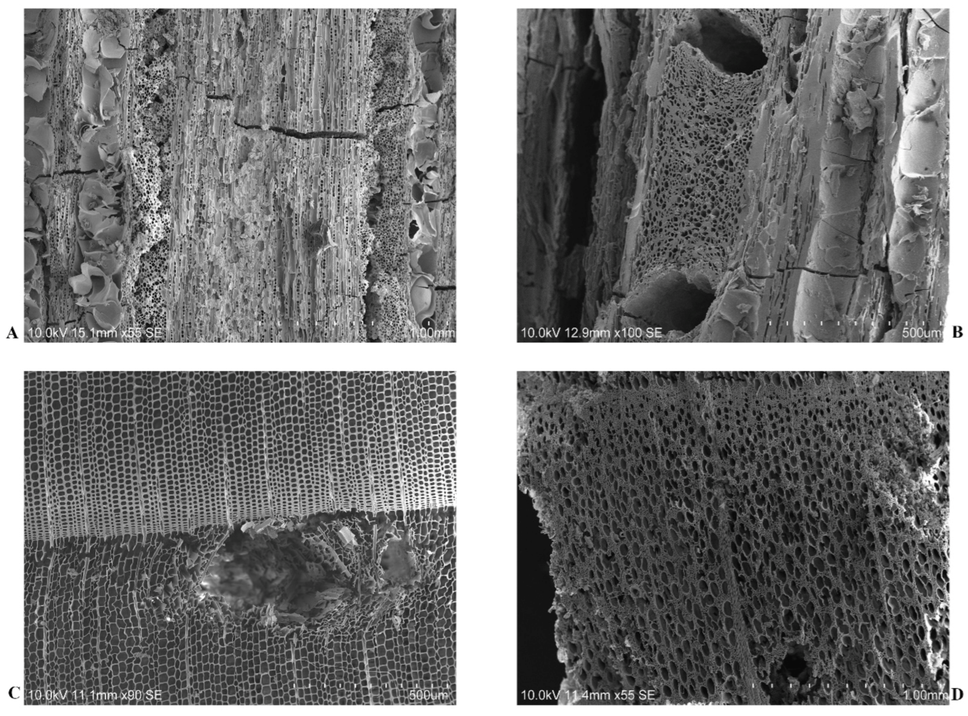 Heritage 04 00110 g007