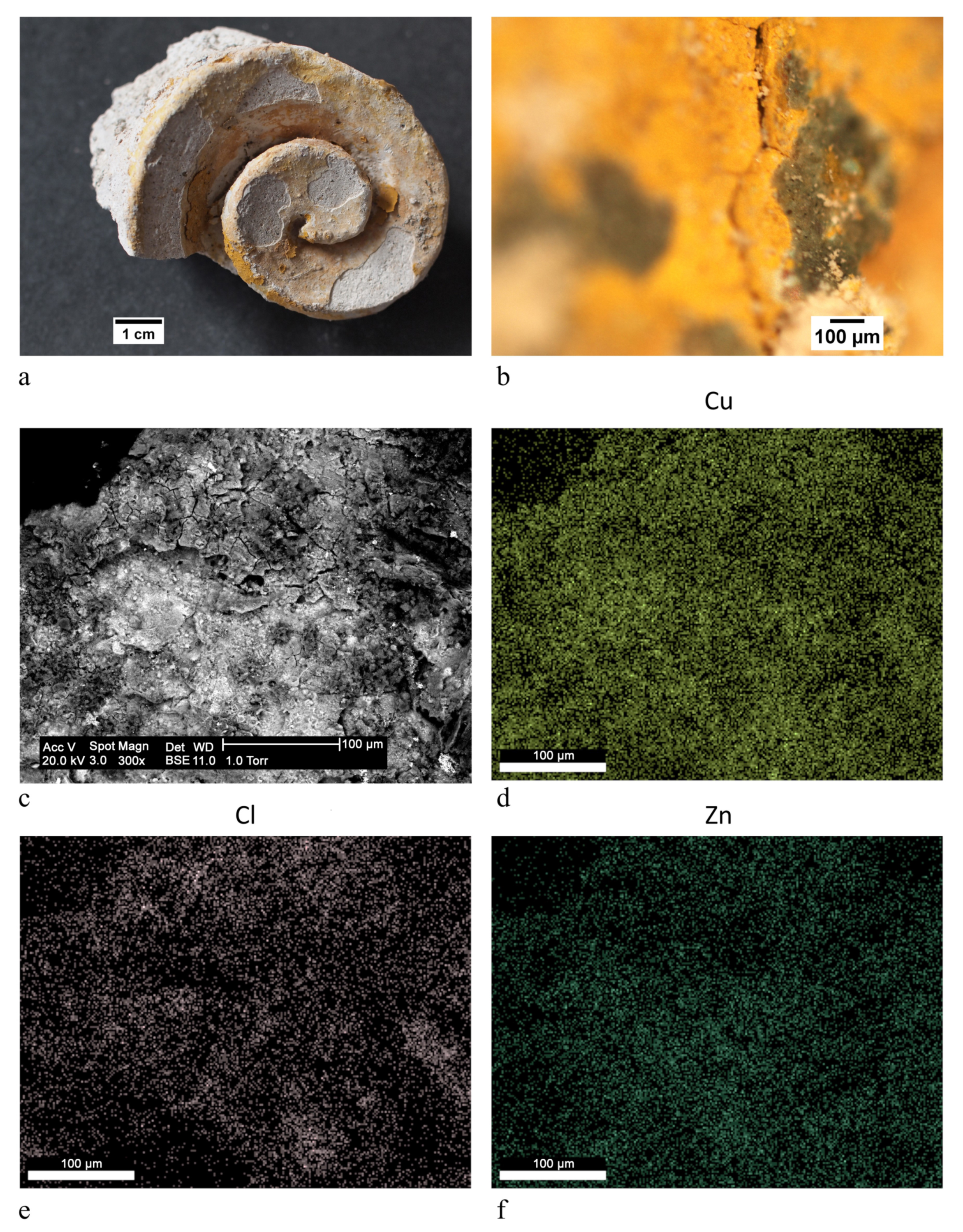 Heritage 04 00137 g007