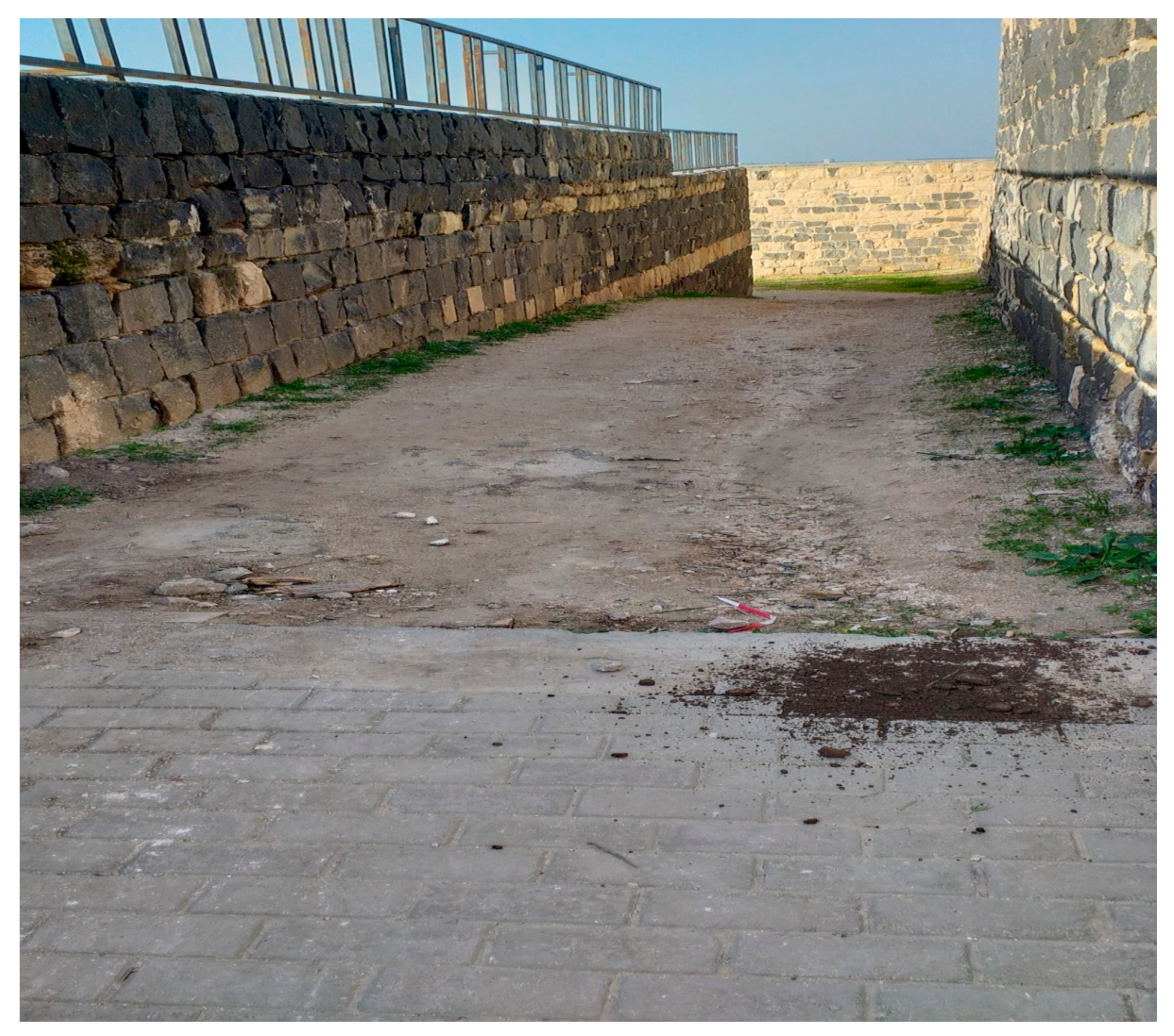 Heritage 04 00138 g002