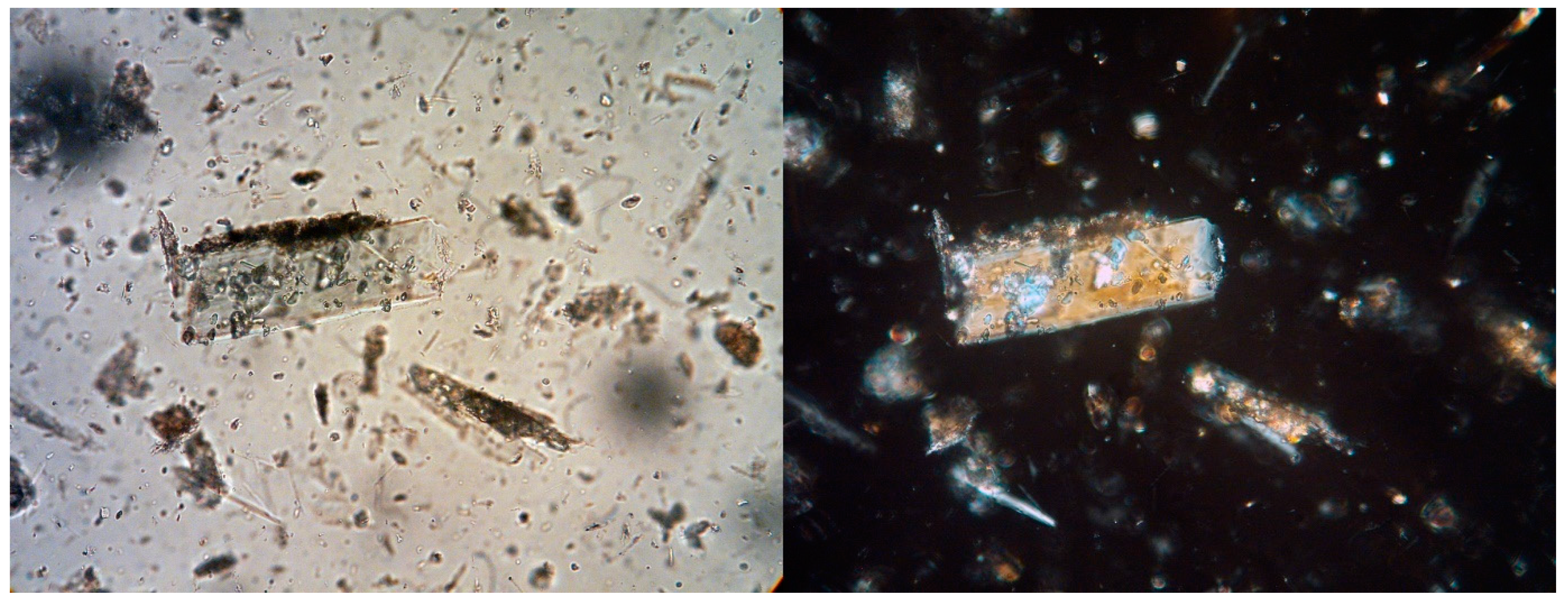 Heritage 04 00145 g007